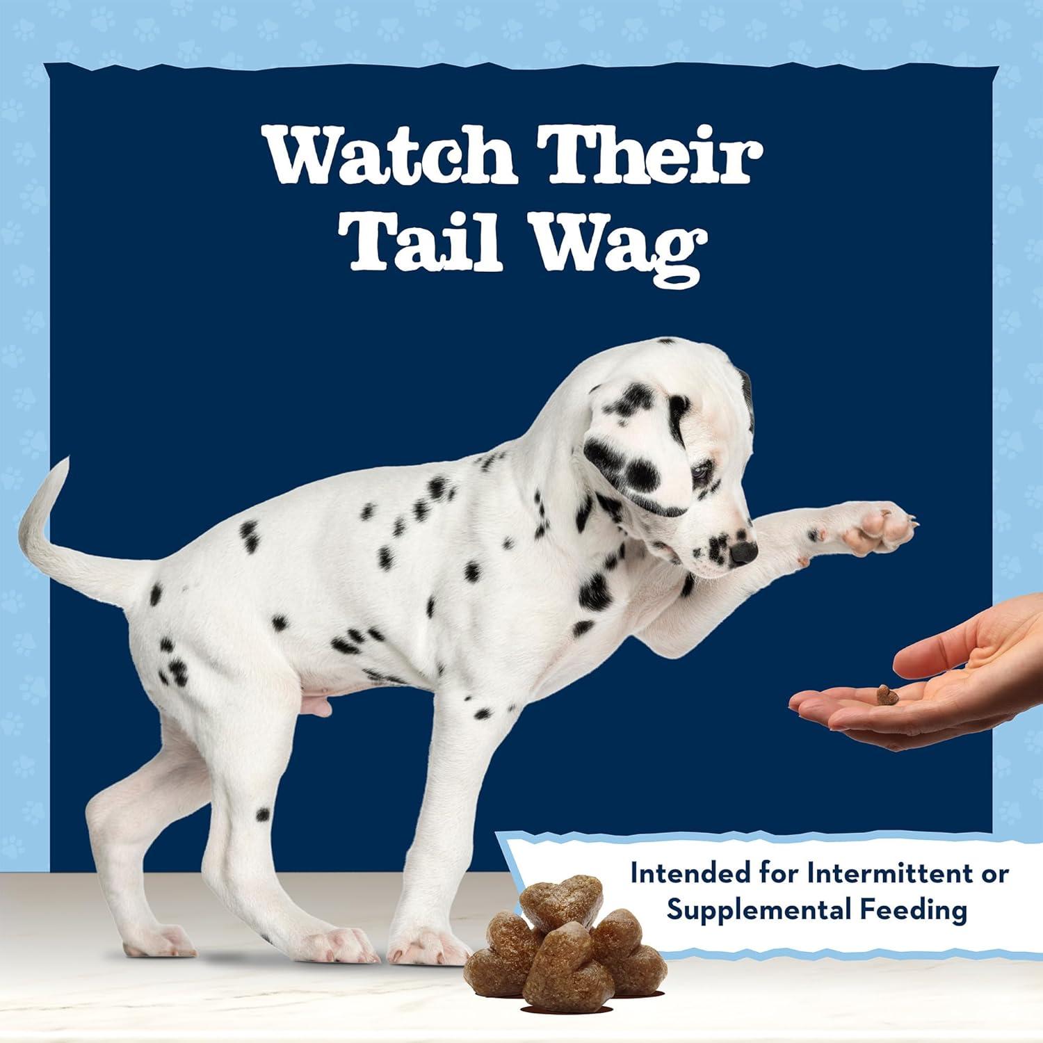 imageBlue Buffalo Baby Blue Training Treats Natural Puppy Soft Dog Treats Savory Chicken 4oz Bag4 Ounce Pack of 1