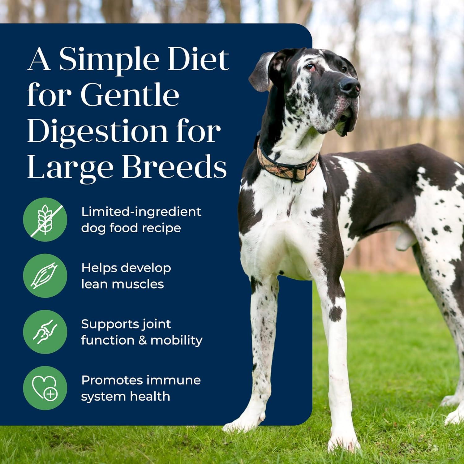 imageBlue Buffalo Basics Adult Large Breed GrainFree Dry Dog Food for Skin amp Stomach Care Limited Ingredient Diet Made in the USA with Natural Ingredients Lamb amp Potato Recipe 22lb Bag