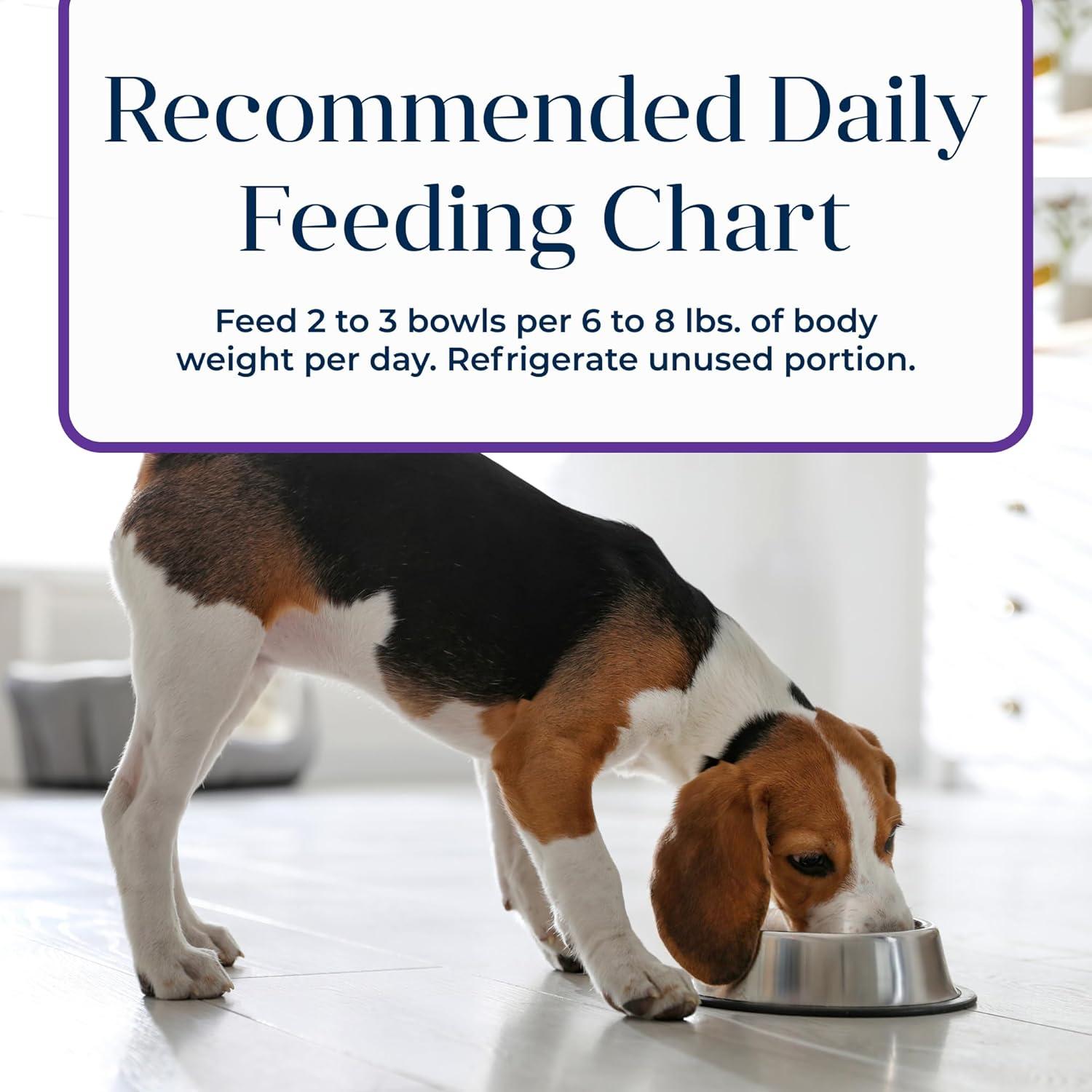 imageBlue Buffalo Basics Adult Small Breed GrainFree Wet Dog Food for Skin amp Stomach Care Limited Ingredient Diet Lamb Recipe 35oz Cups 12 CountTurkey Potato