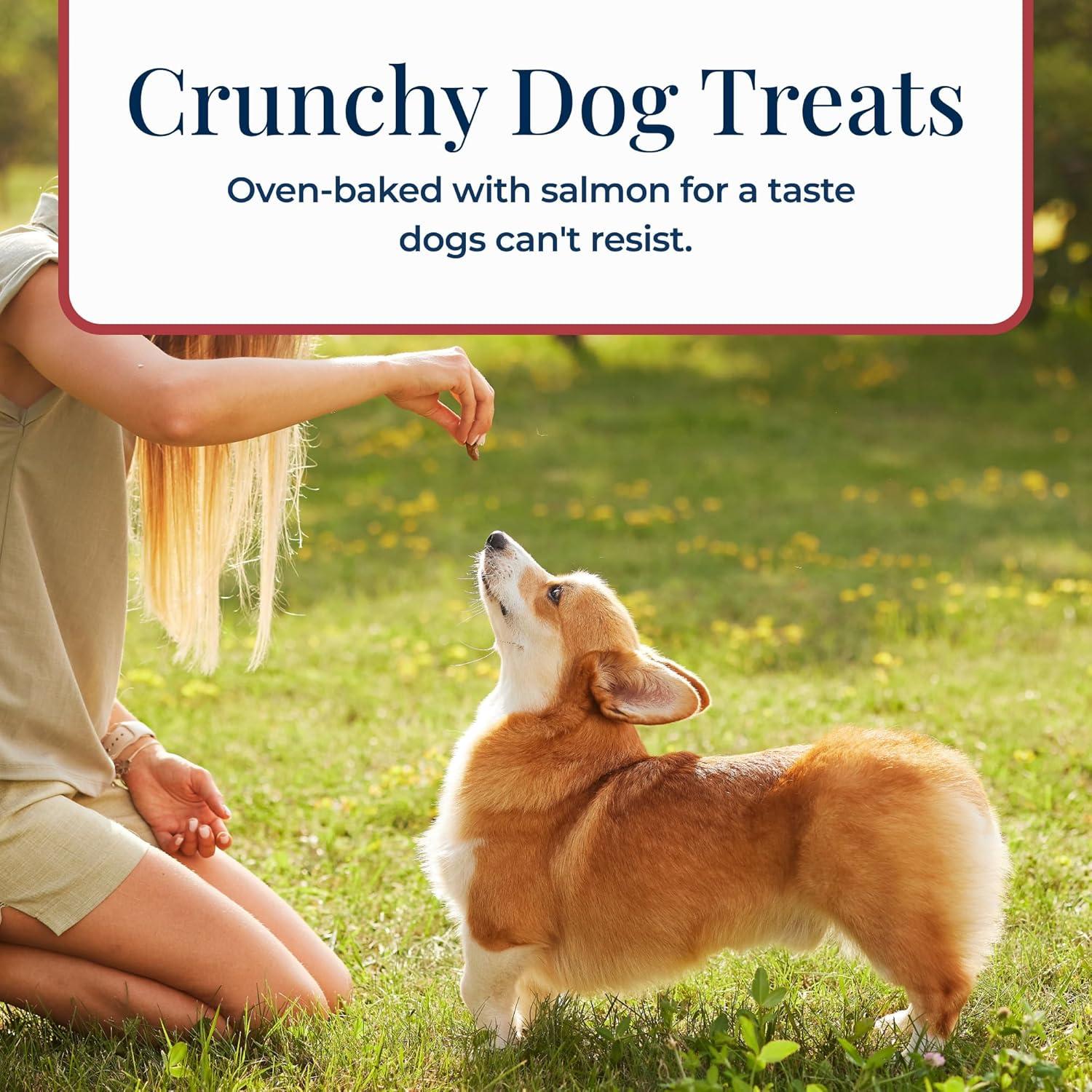 imageBlue Buffalo Basics Crunchy Dog Biscuits for Skin amp Stomach Care Limited Ingredient Diet Dog Treats Salmon amp Potato Recipe 6oz BagSalmon Potato