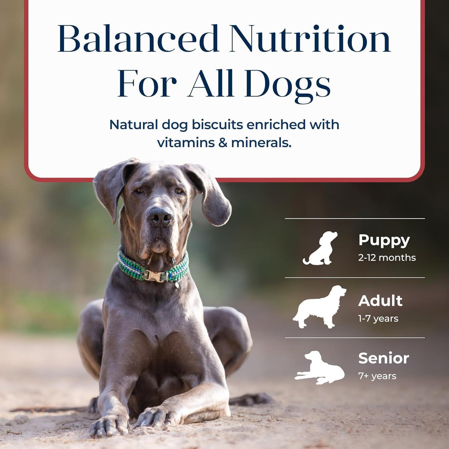 imageBlue Buffalo Basics Crunchy Dog Biscuits for Skin amp Stomach Care Limited Ingredient Diet Dog Treats Salmon amp Potato Recipe 6oz BagSalmon Potato
