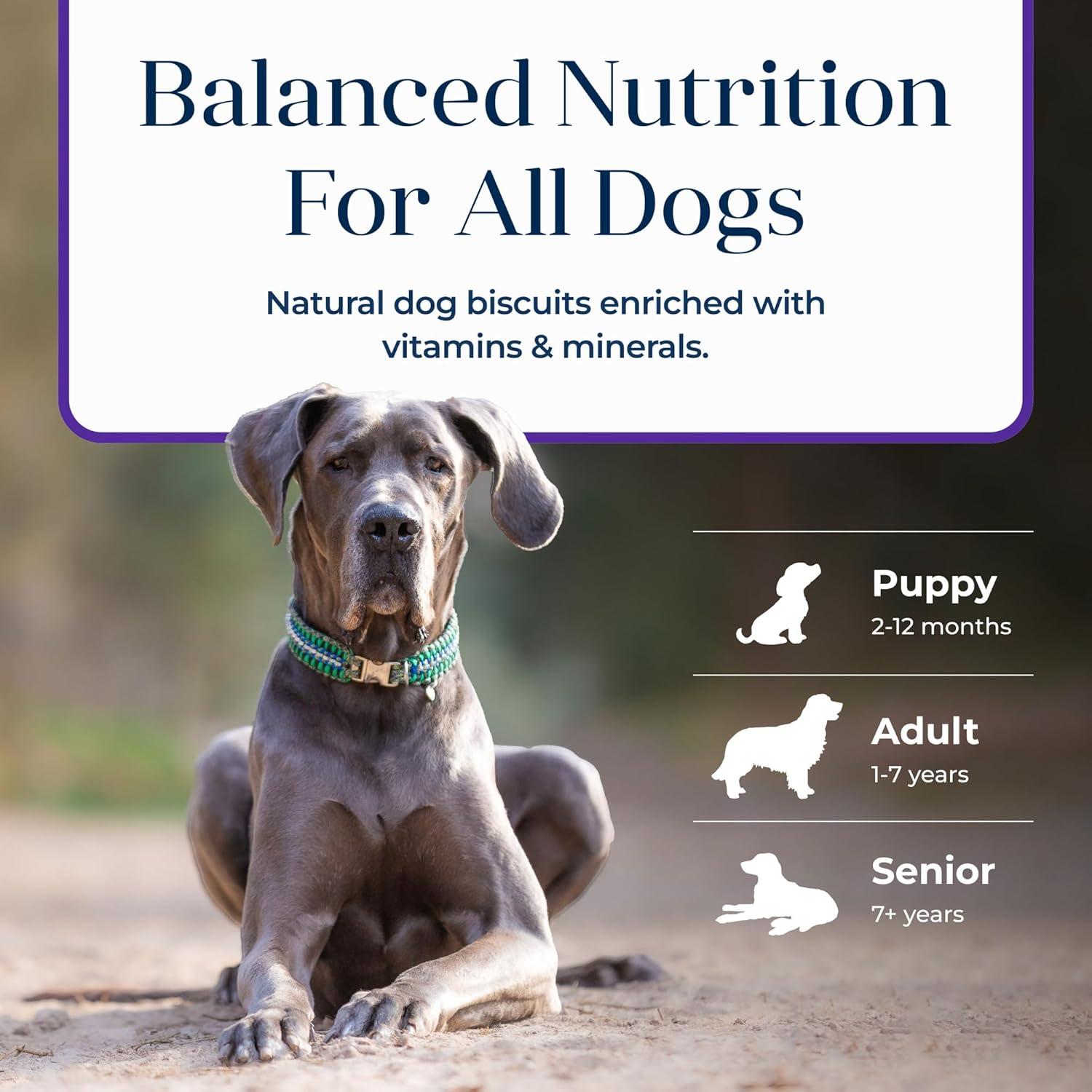 imageBlue Buffalo Basics Crunchy Dog Biscuits for Skin amp Stomach Care Limited Ingredient Diet Dog Treats Salmon amp Potato Recipe 6oz BagTurkey Potato
