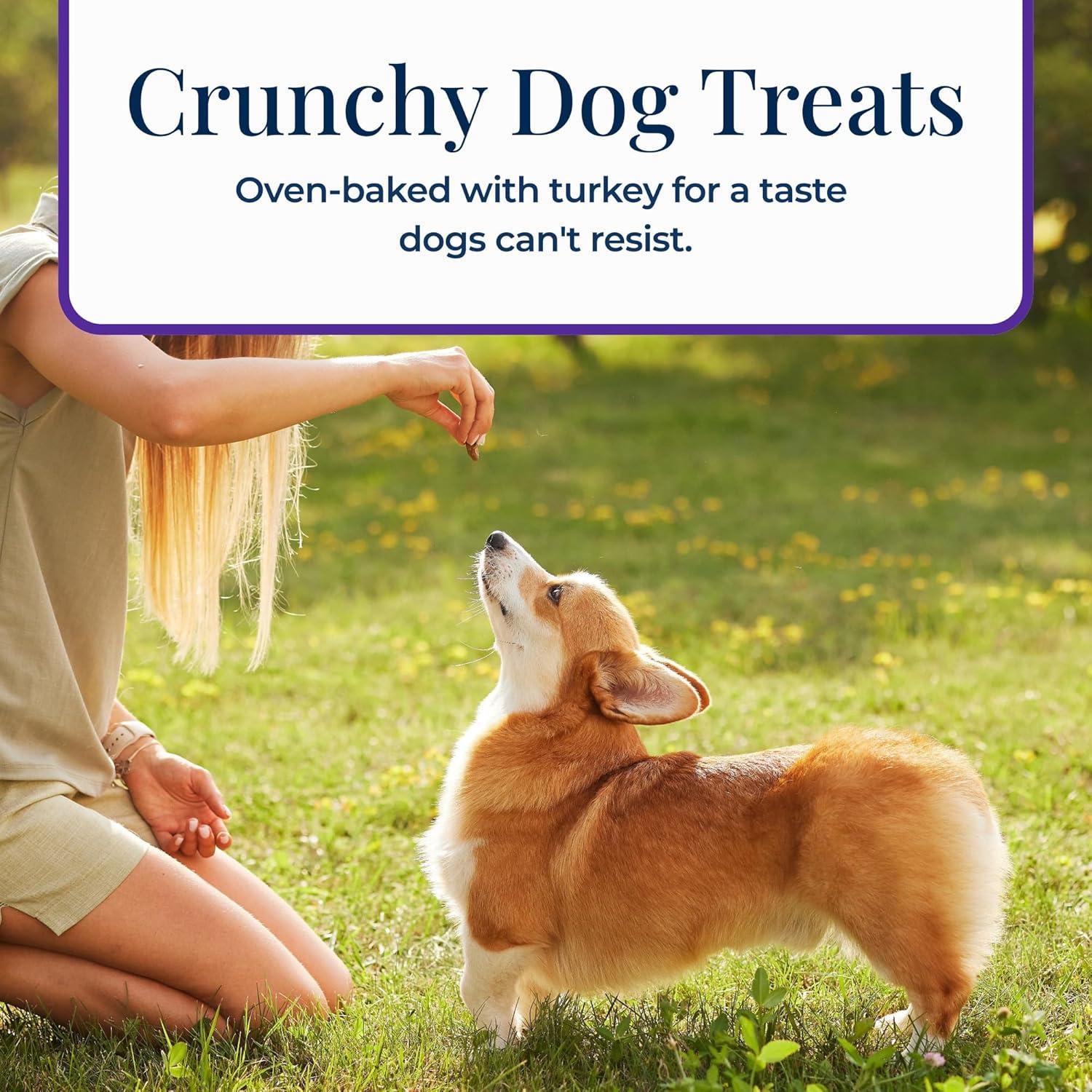 imageBlue Buffalo Basics Crunchy Dog Biscuits for Skin amp Stomach Care Limited Ingredient Diet Dog Treats Salmon amp Potato Recipe 6oz BagTurkey Potato