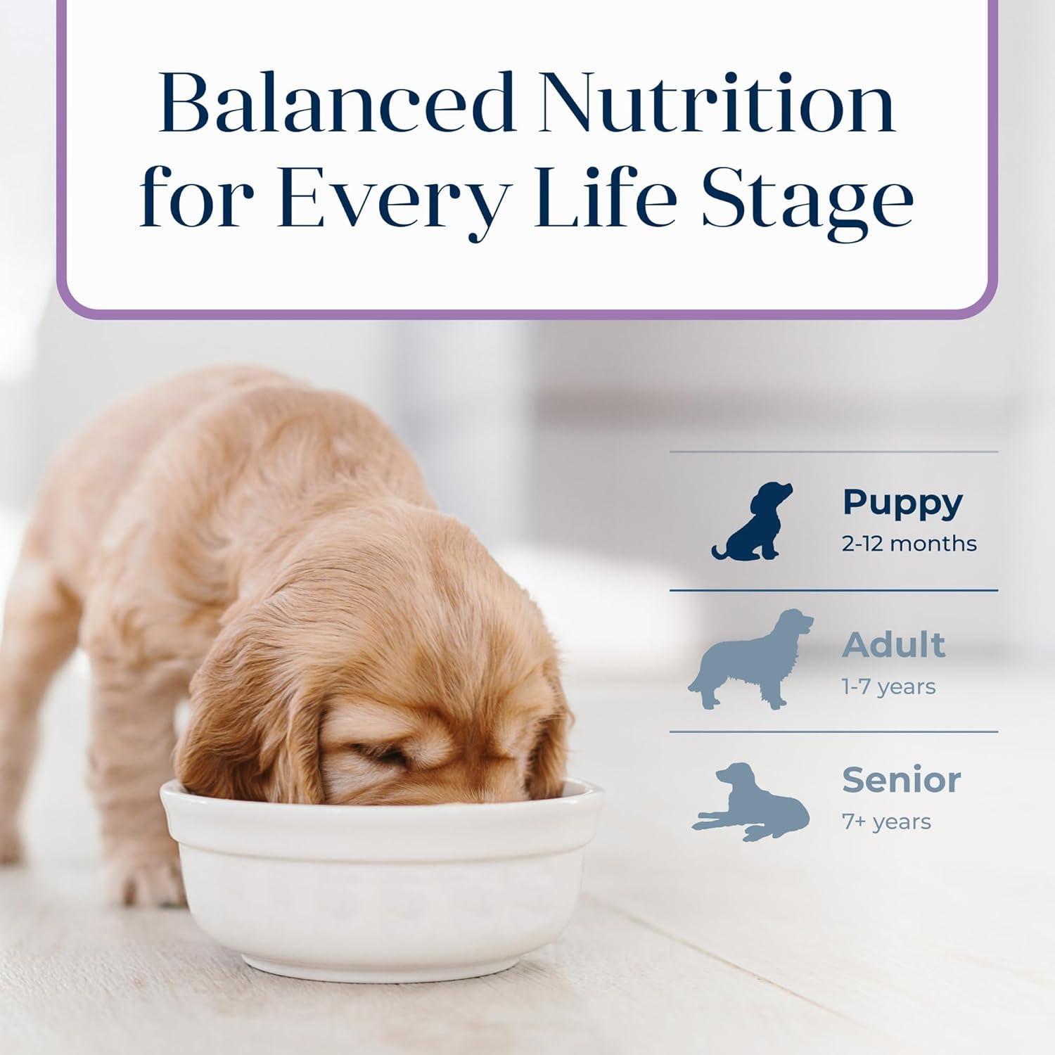 imageBlue Buffalo Basics Dry Dog Food for Puppies Skin amp Stomach Care Limited Ingredient Diet for Dogs Turkey Recipe 11lb BagTurkey Potato