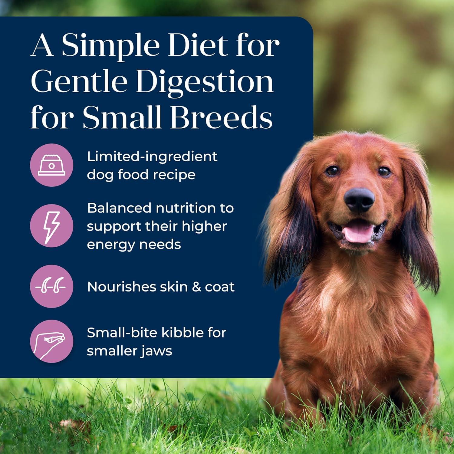 imageBlue Buffalo Basics Dry Dog Food for Small Breed Adult Dogs Limited Ingredient Diet Turkey Recipe 11lb BagTurkey Potato