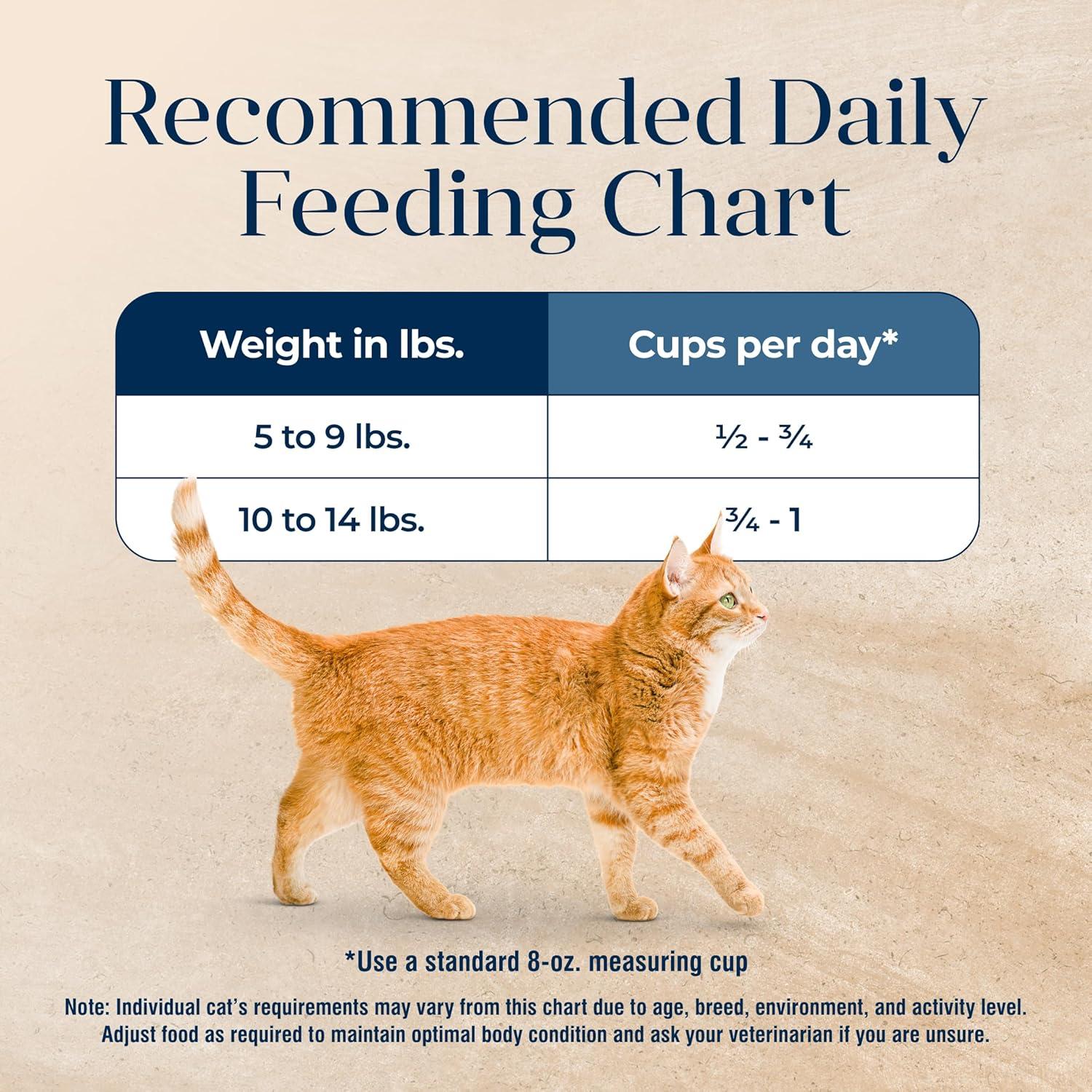 imageBlue Buffalo Basics GrainFree Dry Cat Food Skin amp Stomach Care Limited Ingredient Diet for Indoor Cats Turkey amp Potato Recipe 11lb BagDuck Potato