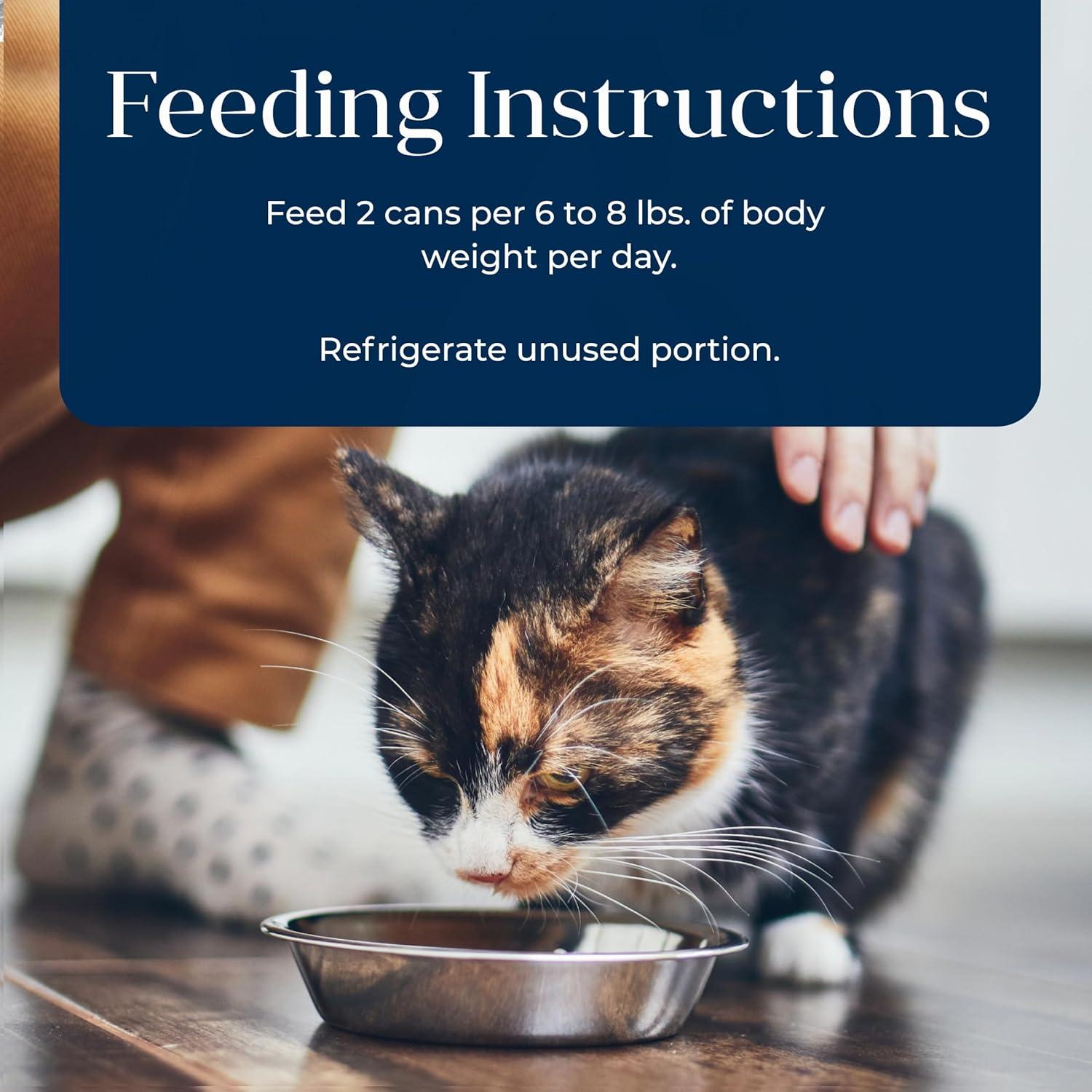 imageBlue Buffalo Basics GrainFree Wet Cat Food Skin amp Stomach Care Limited Ingredient Diet for Indoor Cats Duck amp Potato Entre 3oz Cans 24 CountTurkey
