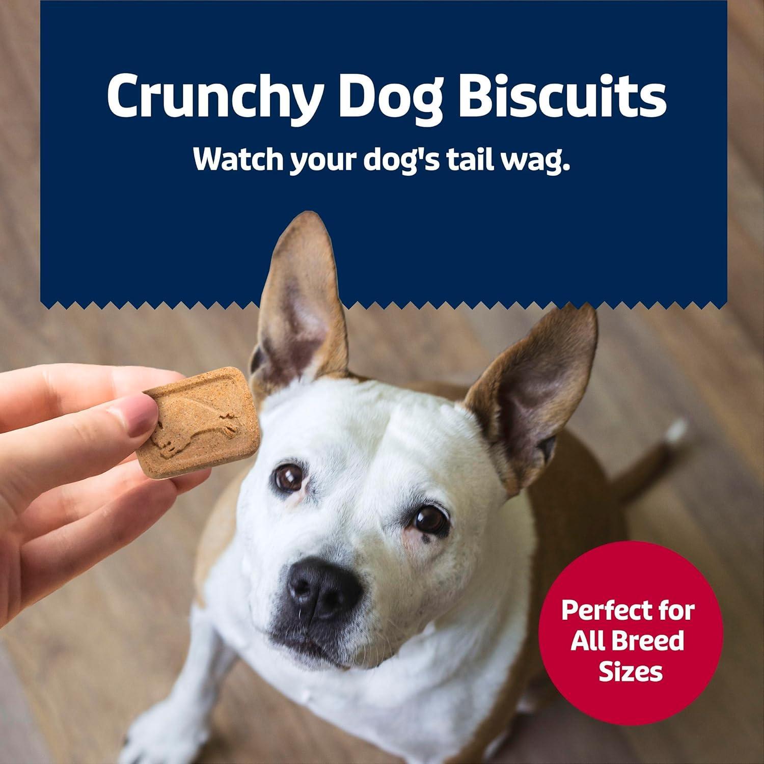 imageBlue Buffalo Bits Natural Soft Moist to Go Dog Training Treats Beef Recipe 1oz Bags Pack of 12Beef