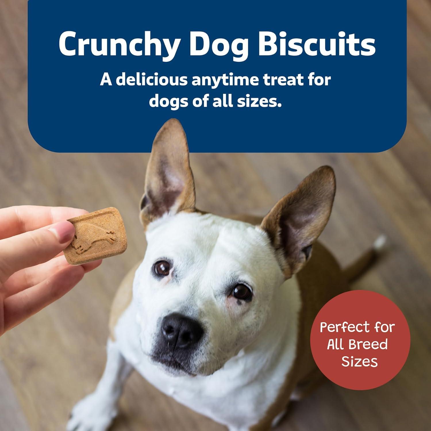 imageBlue Buffalo Bits Natural Soft Moist to Go Dog Training Treats Beef Recipe 1oz Bags Pack of 12MINIBacon Egg Cheese