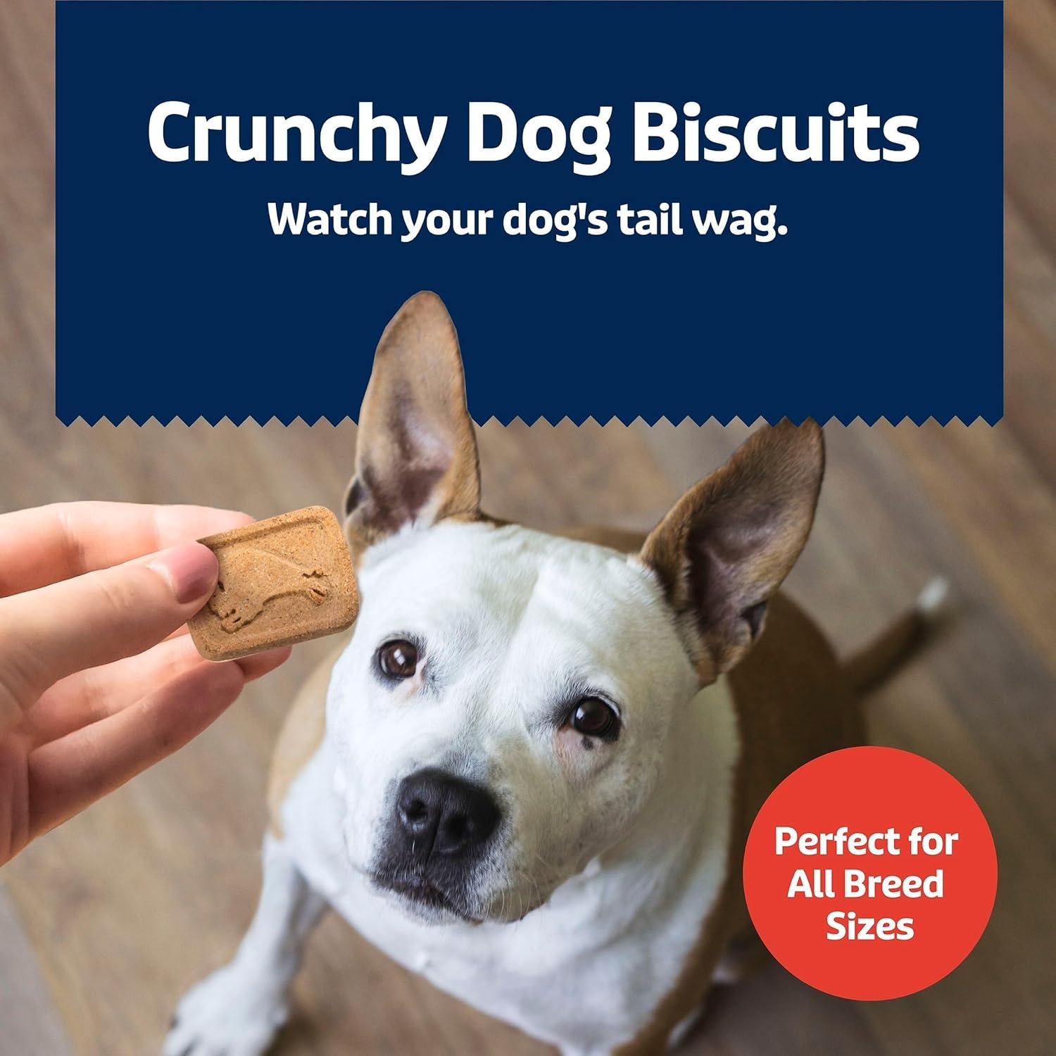imageBlue Buffalo Bits Natural Soft Moist to Go Dog Training Treats Beef Recipe 1oz Bags Pack of 12Variety Pack 3 Flavors