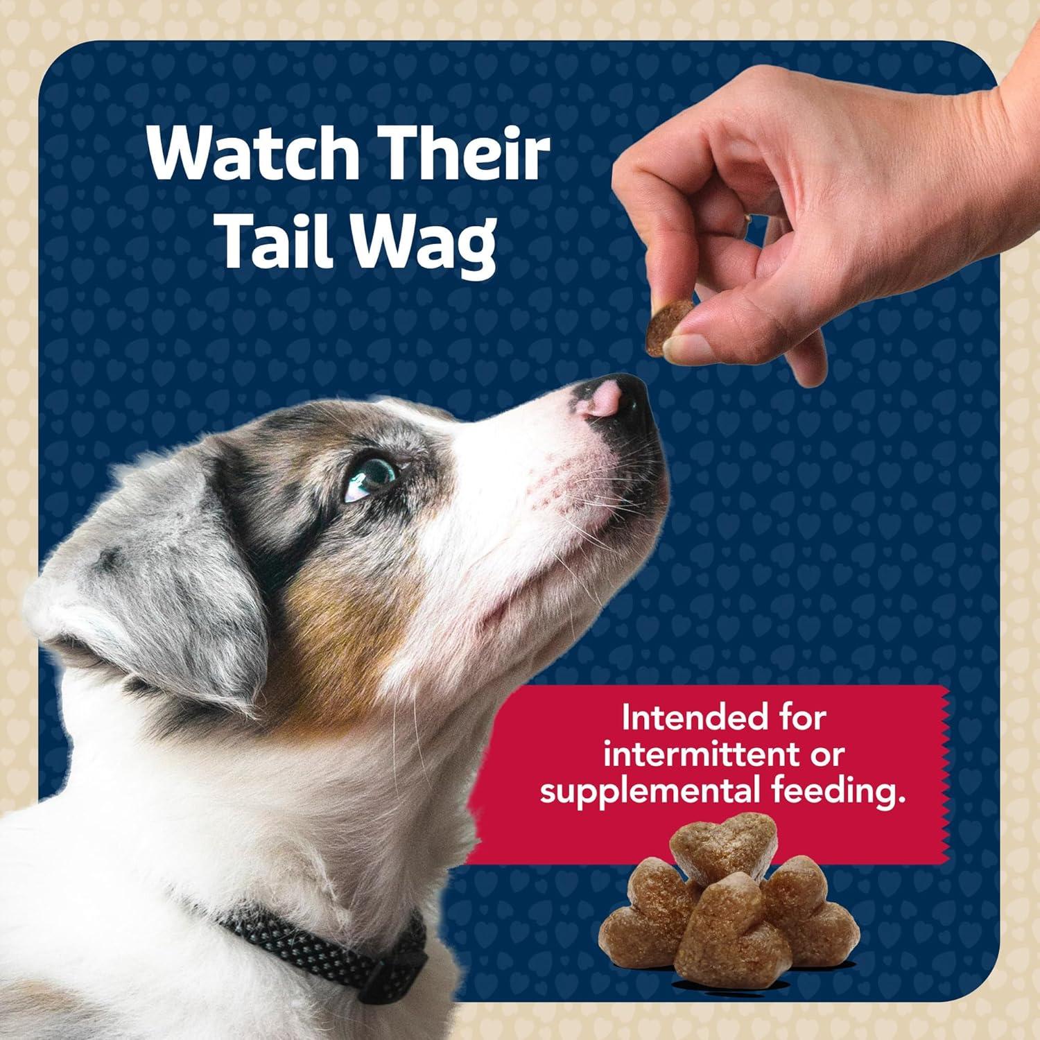 imageBlue Buffalo Bits Soft Dog Treats for Training Made with Natural Ingredients amp Enhanced with DHA Beef Recipe 4oz BagBeef