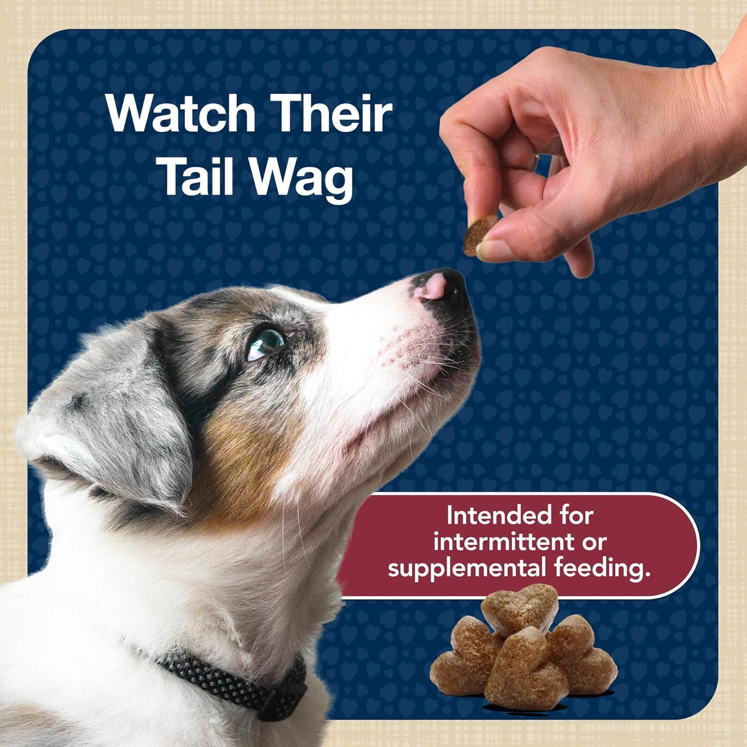 imageBlue Buffalo Bits Soft Dog Treats for Training Made with Natural Ingredients amp Enhanced with DHA Beef Recipe 4oz BagBeef