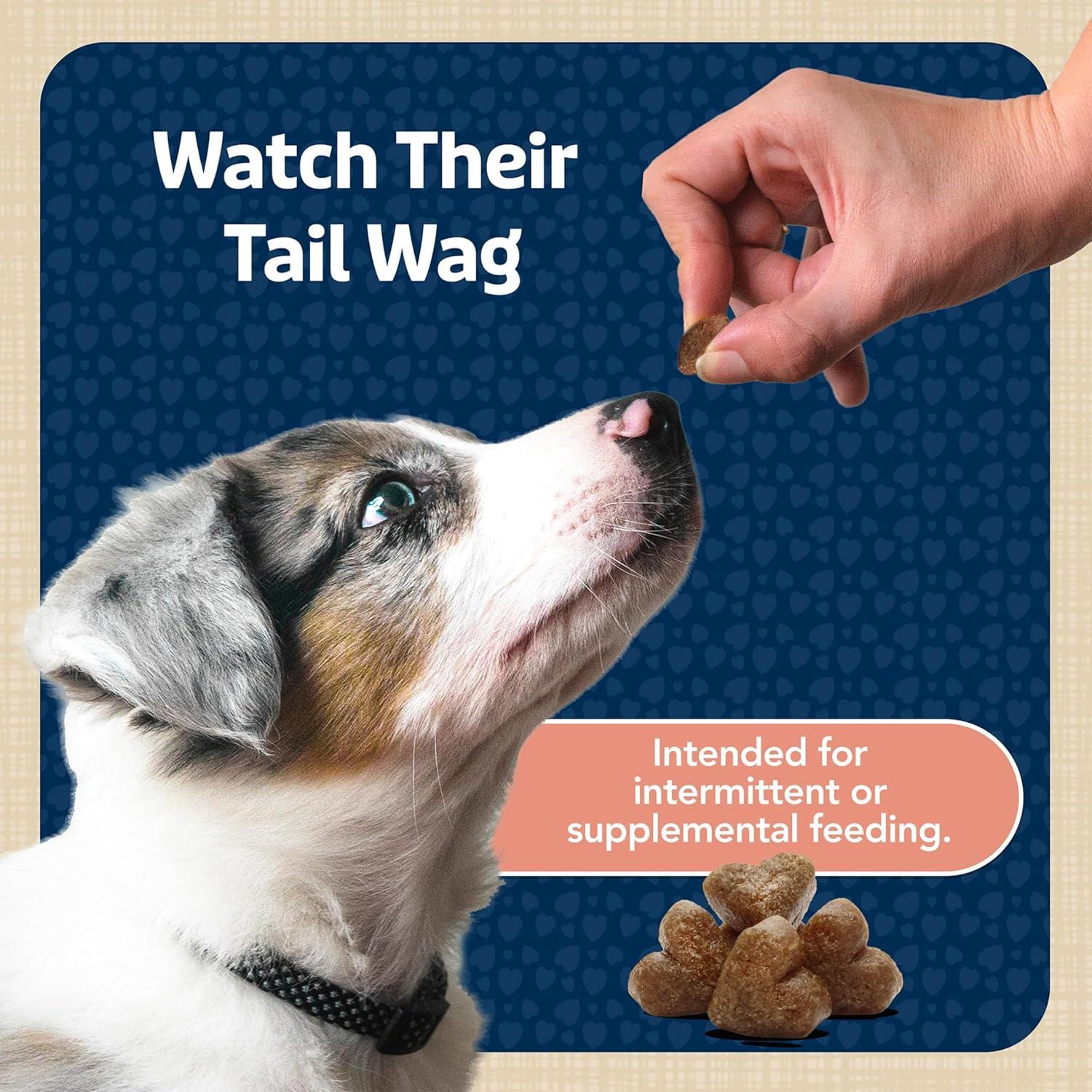 imageBlue Buffalo Bits Soft Dog Treats for Training Made with Natural Ingredients amp Enhanced with DHA Beef Recipe 4oz BagSalmon