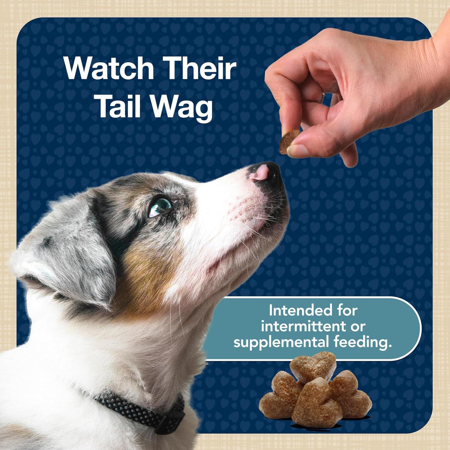 imageBlue Buffalo Bits Soft Dog Treats for Training Made with Natural Ingredients amp Enhanced with DHA Beef Recipe 4oz BagTurkey