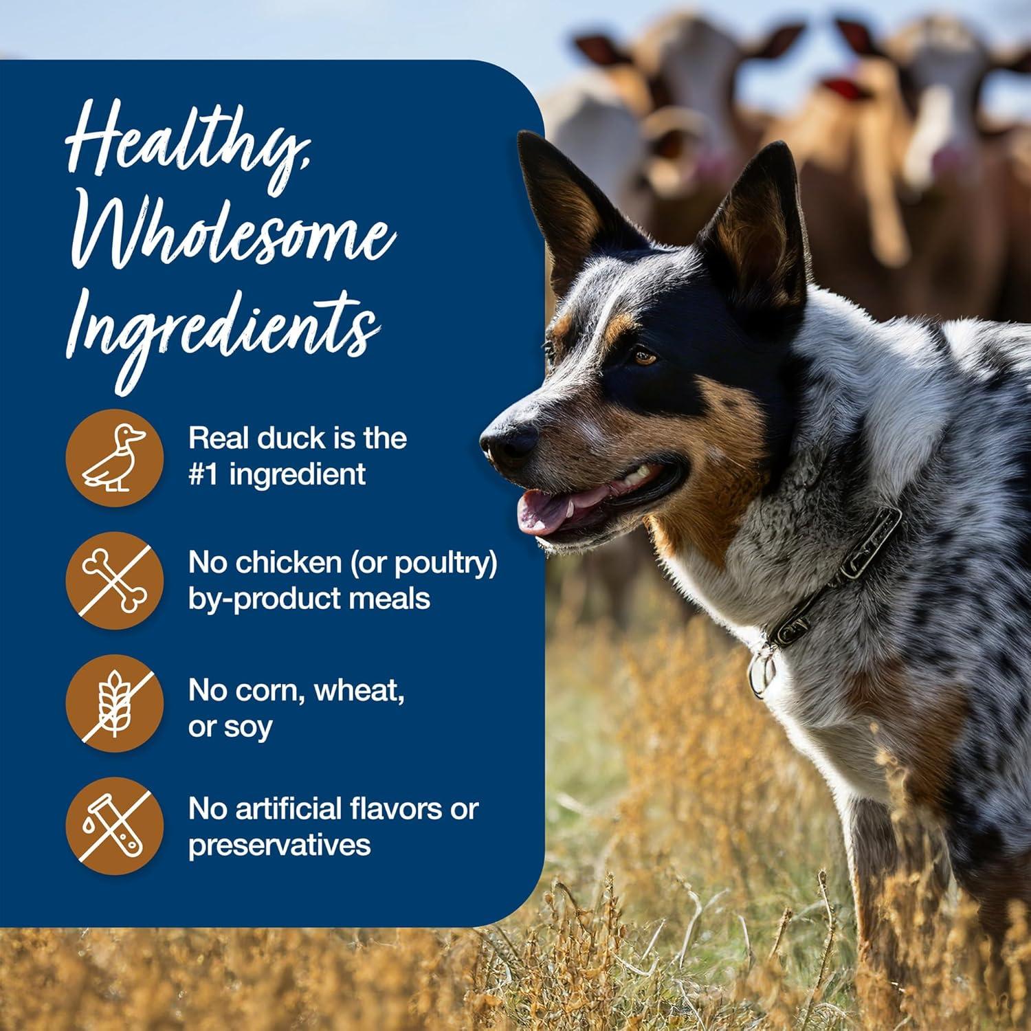 imageBlue Buffalo Blues Stew Natural Wet Dog Food Made with Natural Ingredients Hearty Beef and Country Chicken Variety Pack 125oz Cans 6 CountDuck