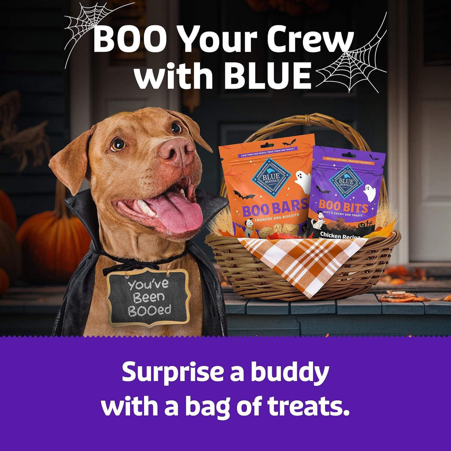 imageBlue Buffalo Boo Bits Soft amp Chewy Halloween Dog Treats Tasty Chicken Recipe 45oz Bag1 Count Pack of 1