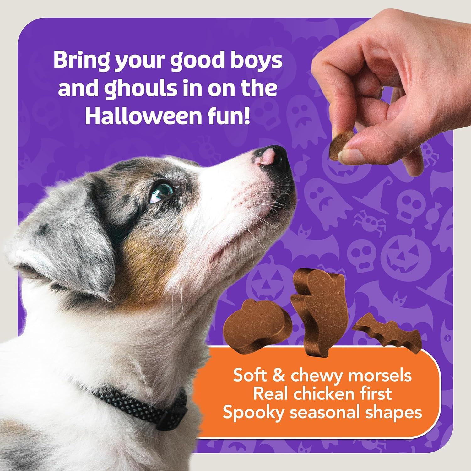 imageBlue Buffalo Boo Bits Soft amp Chewy Halloween Dog Treats Tasty Chicken Recipe 45oz Bag1 Count Pack of 1