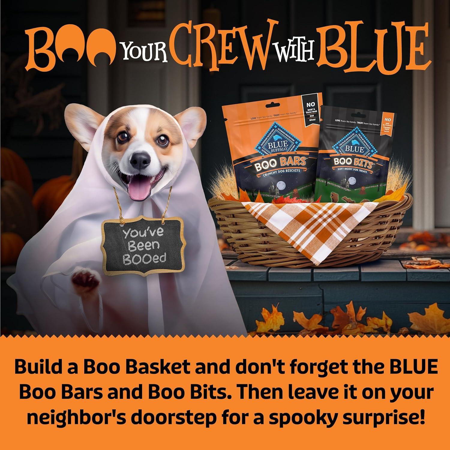 imageBlue Buffalo Boo Bits Soft amp Chewy Halloween Dog Treats Tasty Chicken Recipe 45oz Bag1 Count Pack of 4