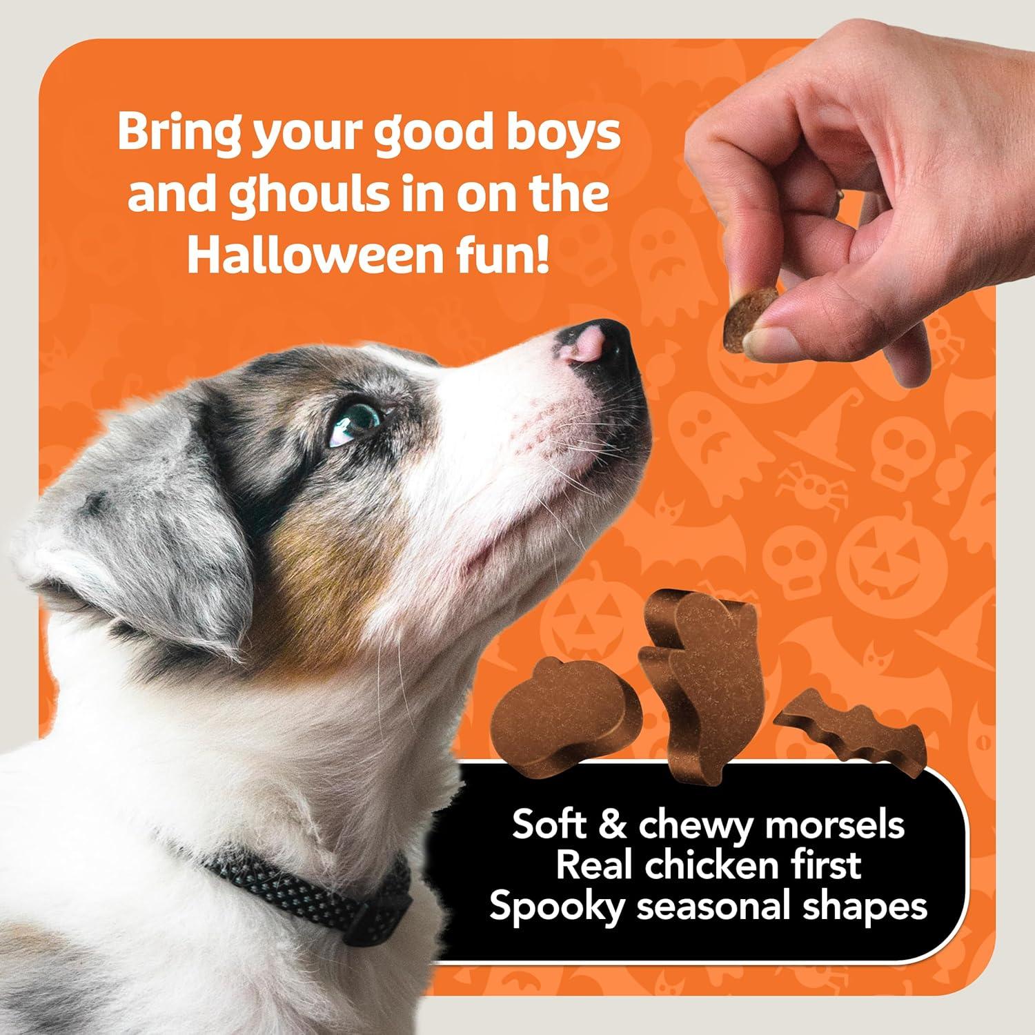 imageBlue Buffalo Boo Bits Soft amp Chewy Halloween Dog Treats Tasty Chicken Recipe 45oz Bag1 Count Pack of 4