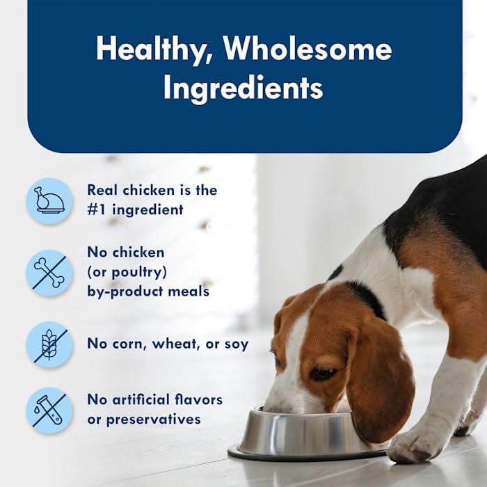 imageBlue Buffalo Delights Small Breed Natural Wet Dog Food Filet Mignon Flavor in Gravy 35oz Cups 12 CountChicken