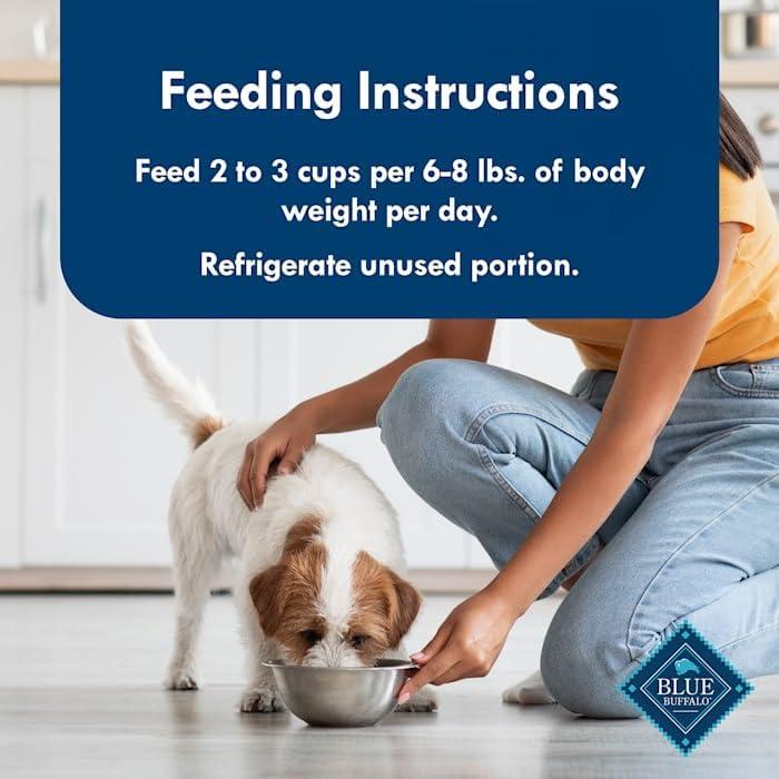 imageBlue Buffalo Delights Small Breed Natural Wet Dog Food Filet Mignon Flavor in Gravy 35oz Cups 12 CountChicken