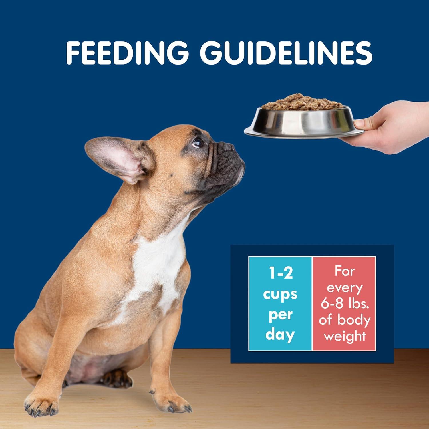 imageBlue Buffalo Delights Small Breed Natural Wet Dog Food Filet Mignon Flavor in Gravy 35oz Cups 12 CountVariety Pack Chicken Prime Rib