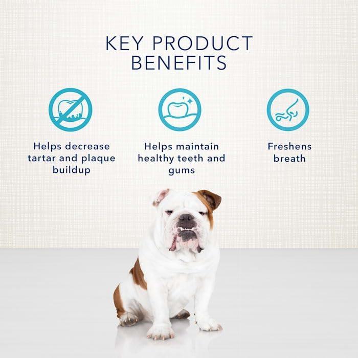 imageBlue Buffalo Dental Bones for Large Dogs 50 lbs amp Above Daily Dental Dog Treats Cleans Teeth amp Freshens Breath 27oz 17 BonesUnflavored
