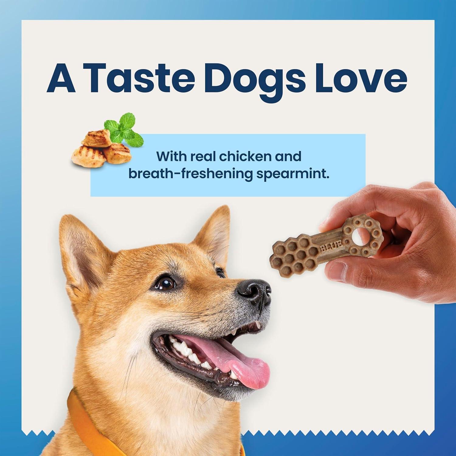 imageBlue Buffalo Dental Chews Medium Natural Dog Treats Chicken amp Spearmint 345oz Bag 42 Count115 Ounce Pack of 1