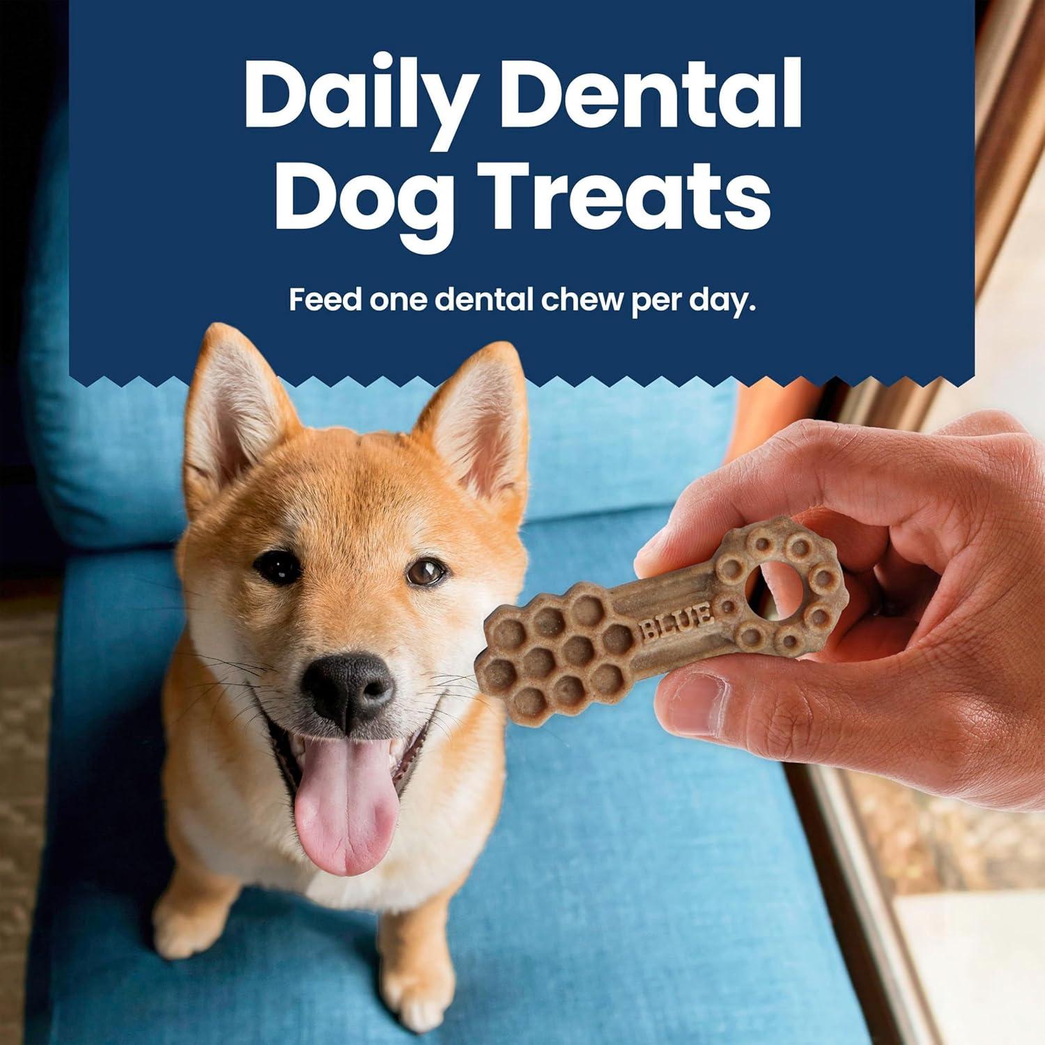 imageBlue Buffalo Dental Chews Medium Natural Dog Treats Chicken amp Spearmint 345oz Bag 42 Count115 Ounce Pack of 4