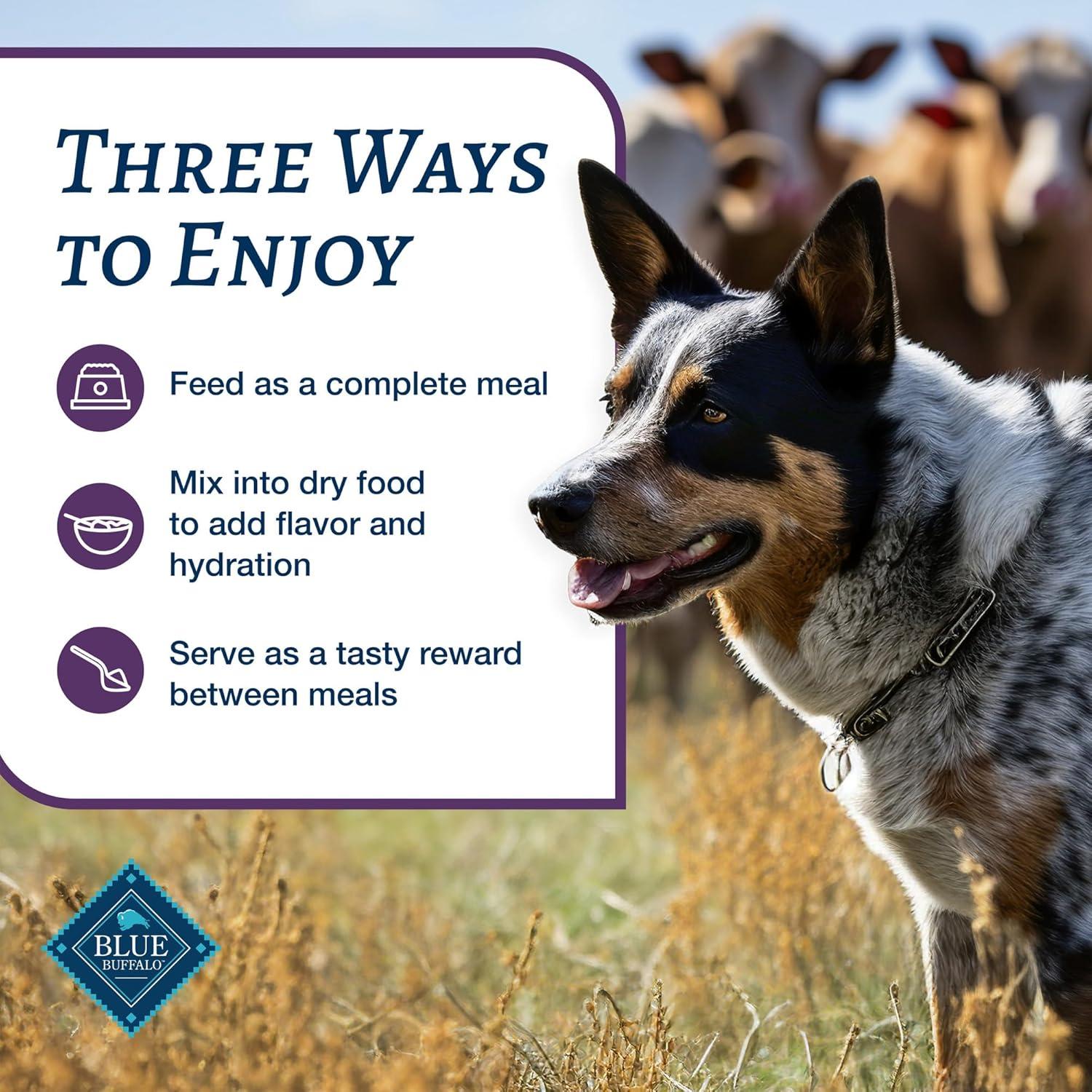 imageBlue Buffalo Family Favorites Adult Wet Dog Food Made with Natural Ingredients Sunday Chicken Dinner 125oz Can Pack of 12Shepherds Pie