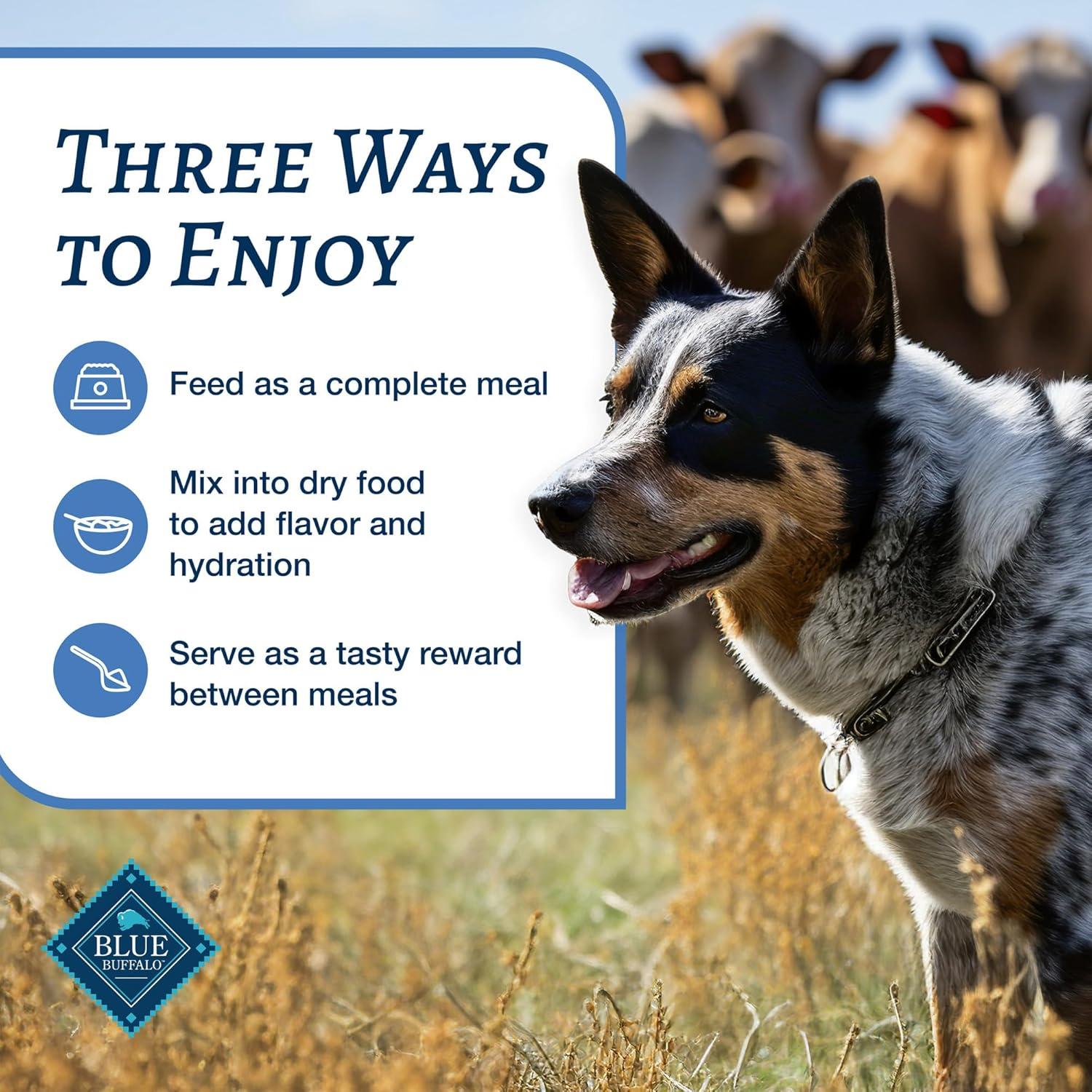 imageBlue Buffalo Family Favorites Adult Wet Dog Food Made with Natural Ingredients Sunday Chicken Dinner 125oz Can Pack of 12Sunday Chicken
