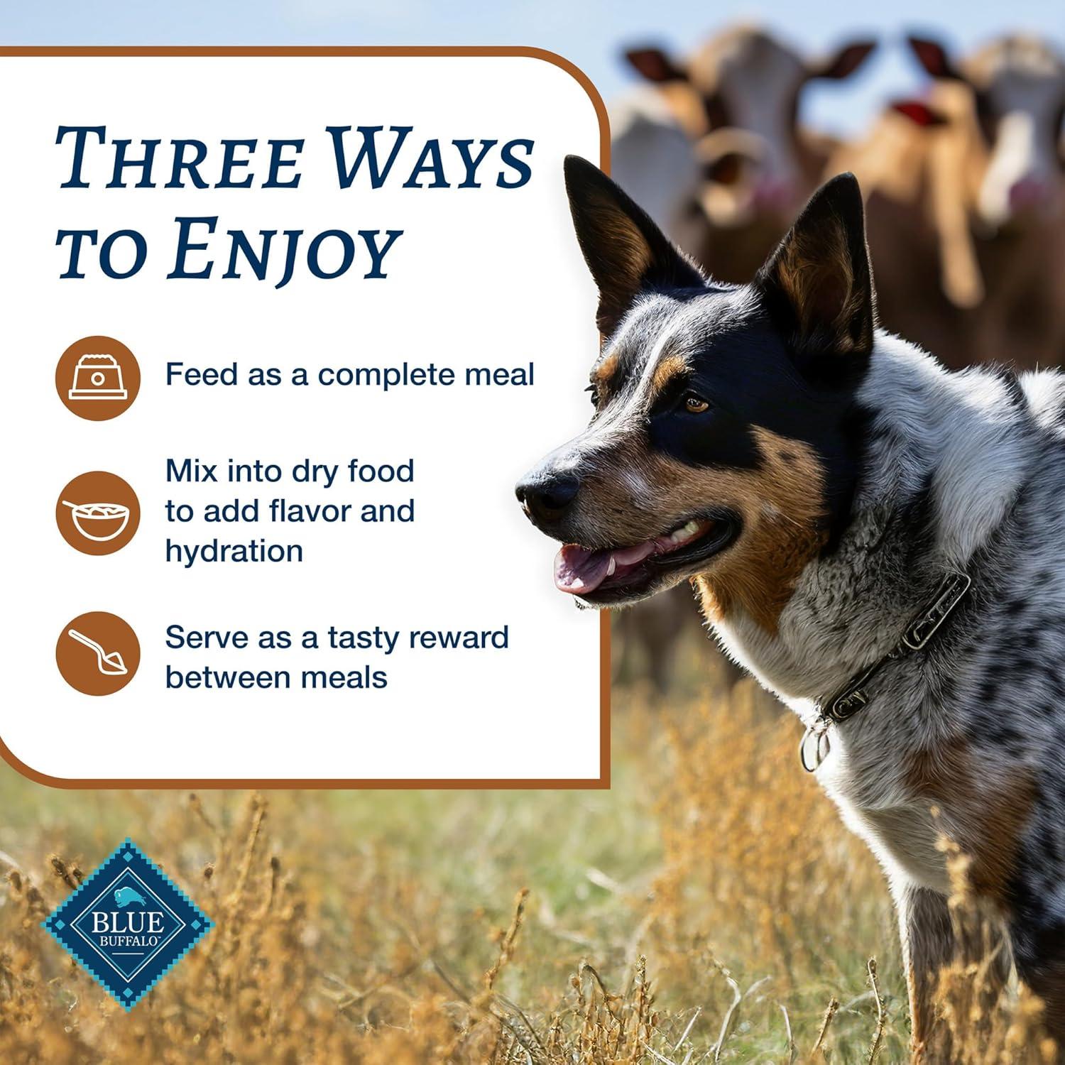 imageBlue Buffalo Family Favorites Adult Wet Dog Food Made with Natural Ingredients Sunday Chicken Dinner 125oz Can Pack of 12Turkey Day Feast