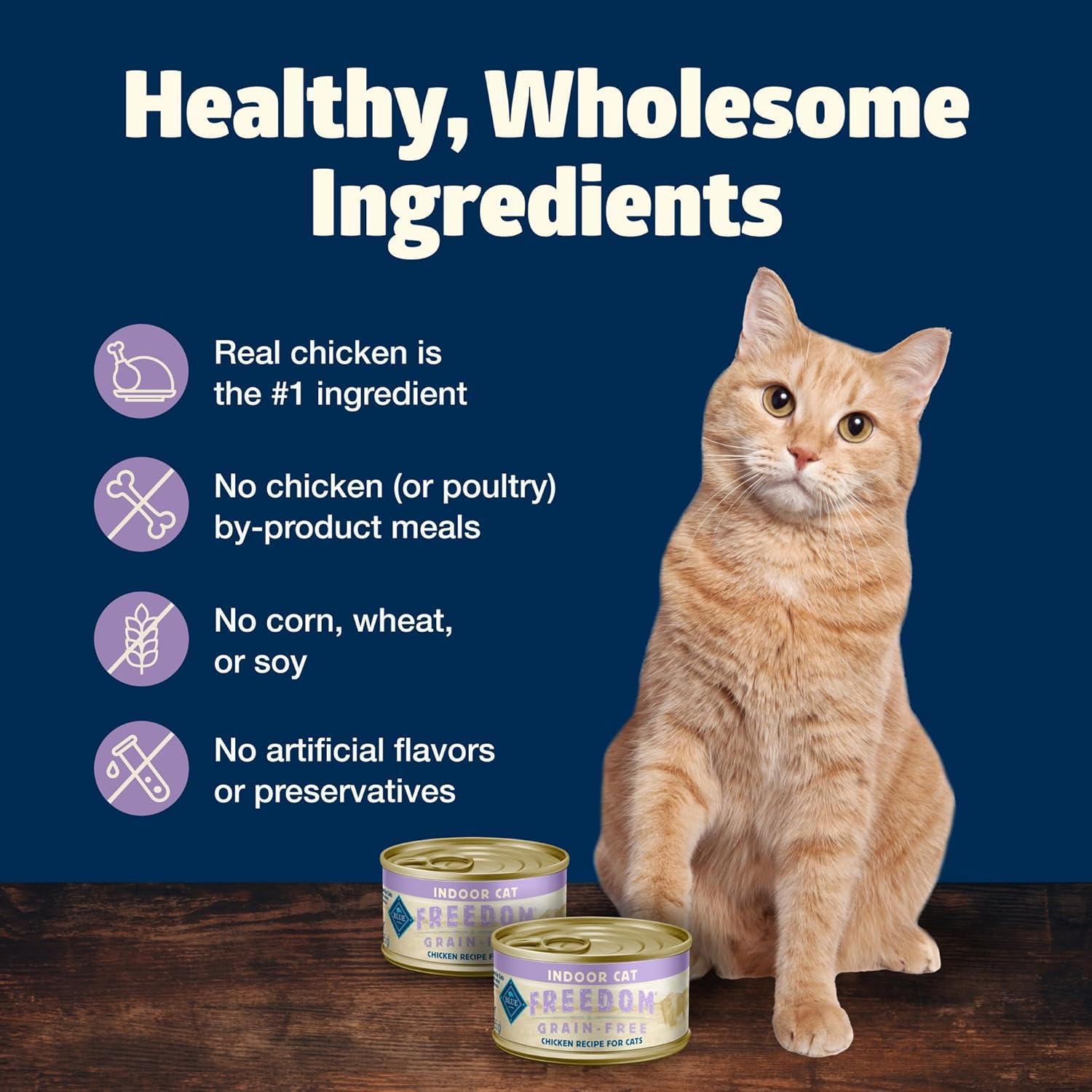 imageBlue Buffalo Freedom GrainFree Adult Wet Cat Food Complete amp Balanced Nutrition for Indoor Cats Made with Natural Ingredients Chicken Recipe 55oz Cans 24 CountChicken