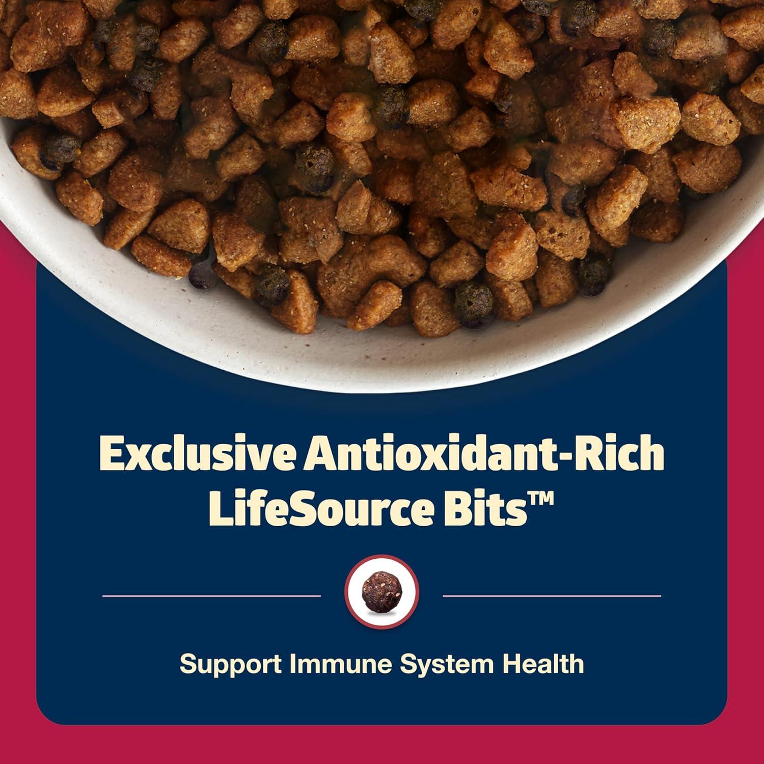 imageBlue Buffalo Freedom GrainFree Dry Dog Food Complete amp Balanced Nutrition for Adult Dogs Made in the USA with Natural Ingredients Beef amp Potatoes 4lb Bag11 Pound Pack of 1