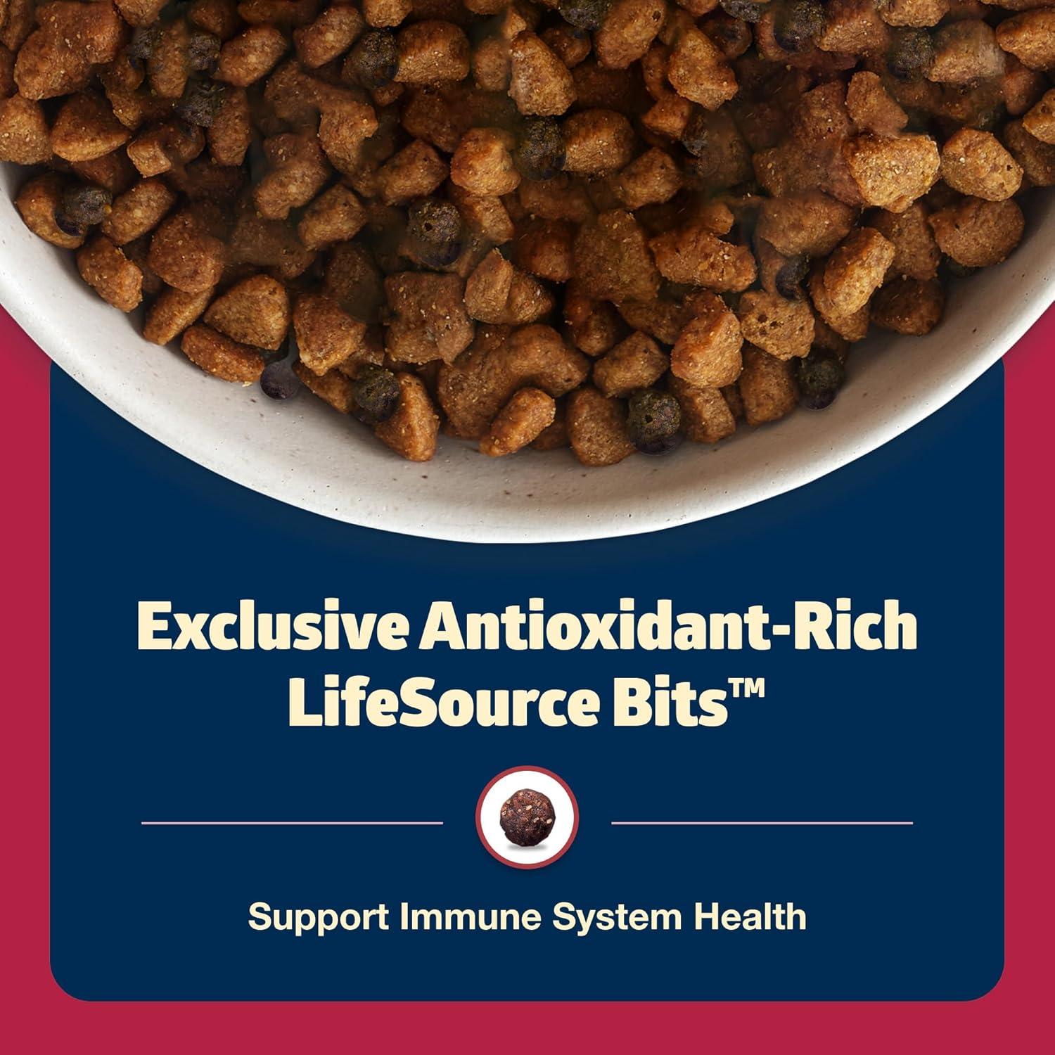 imageBlue Buffalo Freedom GrainFree Dry Dog Food Complete amp Balanced Nutrition for Adult Dogs Made in the USA with Natural Ingredients Beef amp Potatoes 4lb Bag4 Pound Pack of 1