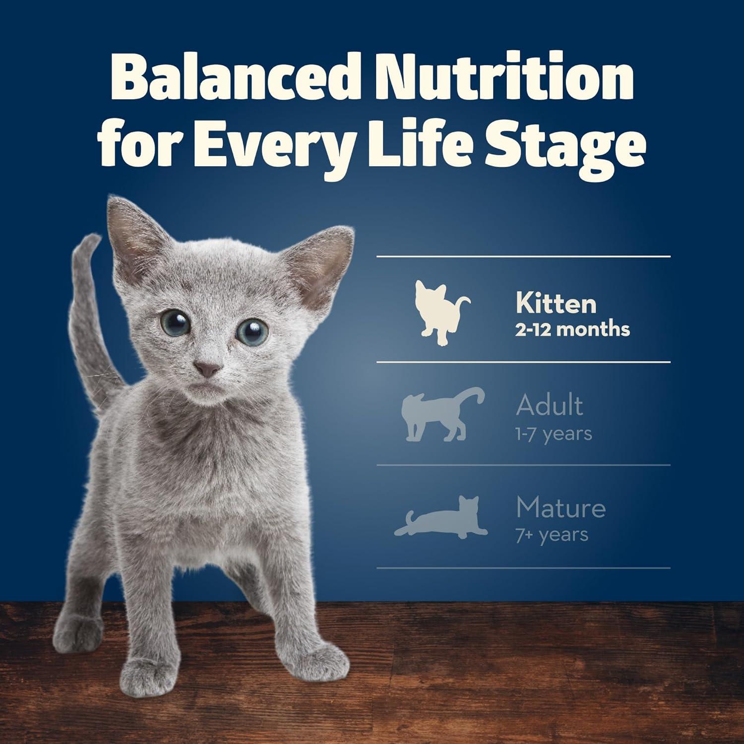 imageBlue Buffalo Freedom GrainFree Kitten Wet Cat Food Complete amp Balanced Nutrition for Kittens Made with Natural Ingredients Chicken Recipe 3oz Cans 24 Count
