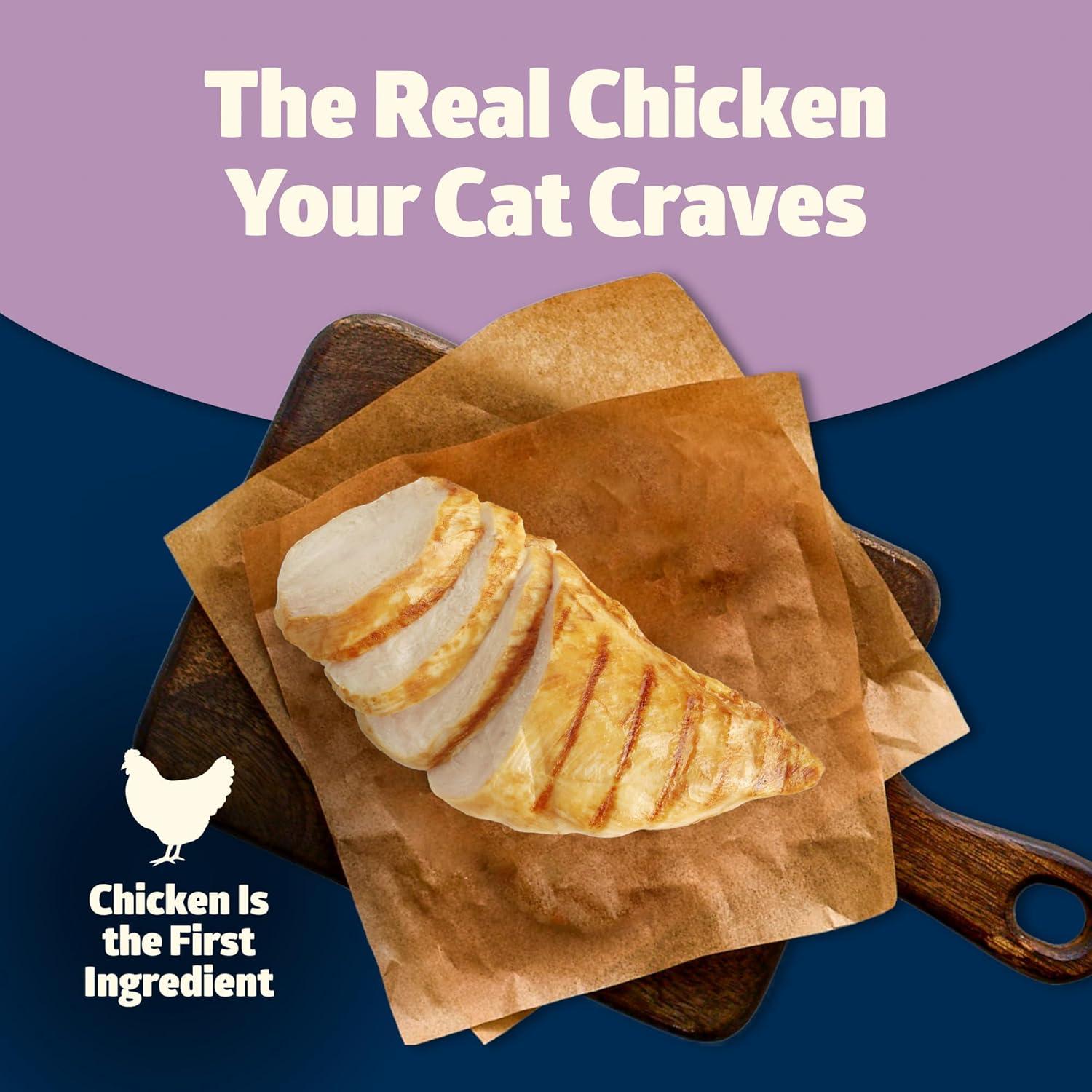 imageBlue Buffalo Freedom GrainFree Kitten Wet Cat Food Complete amp Balanced Nutrition for Kittens Made with Natural Ingredients Chicken Recipe 3oz Cans 24 Count