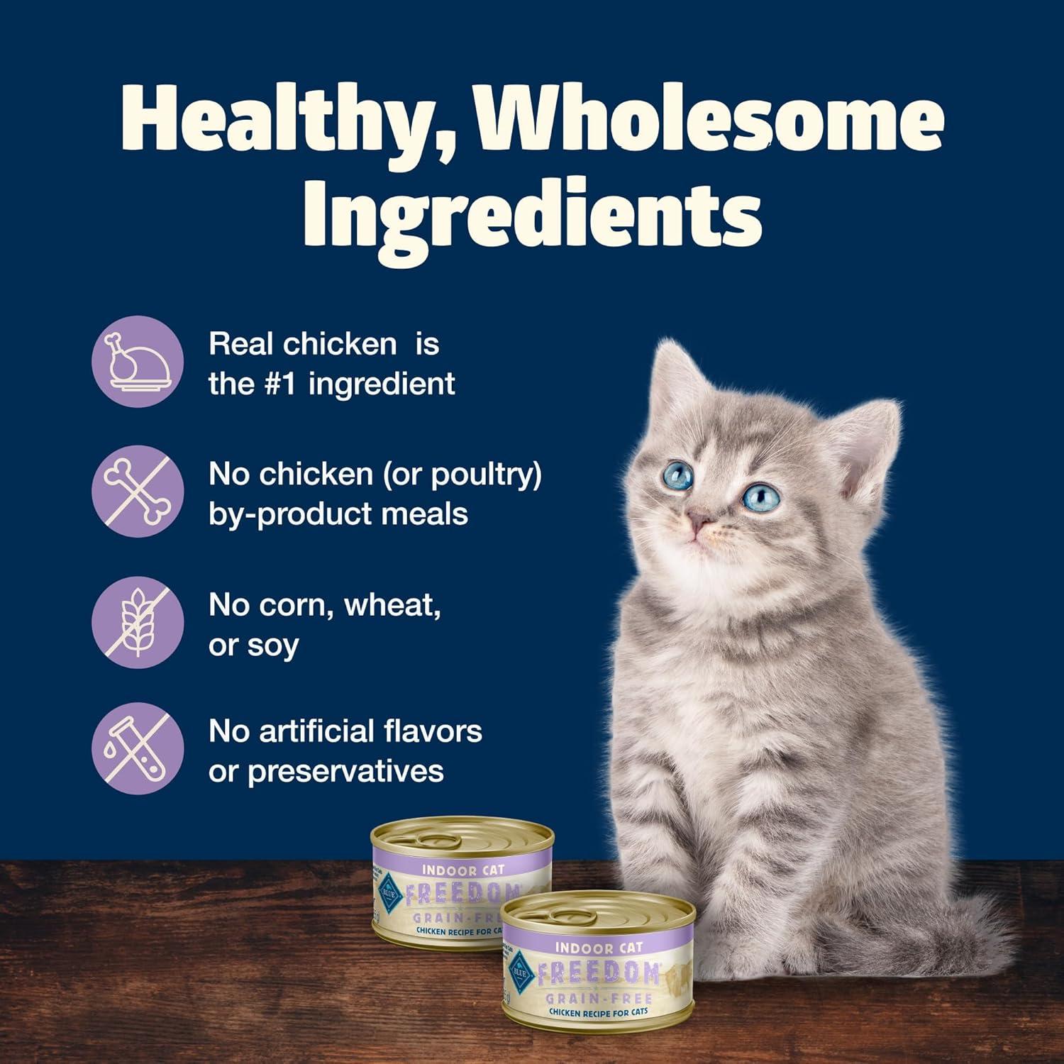 imageBlue Buffalo Freedom GrainFree Kitten Wet Cat Food Complete amp Balanced Nutrition for Kittens Made with Natural Ingredients Chicken Recipe 3oz Cans 24 Count