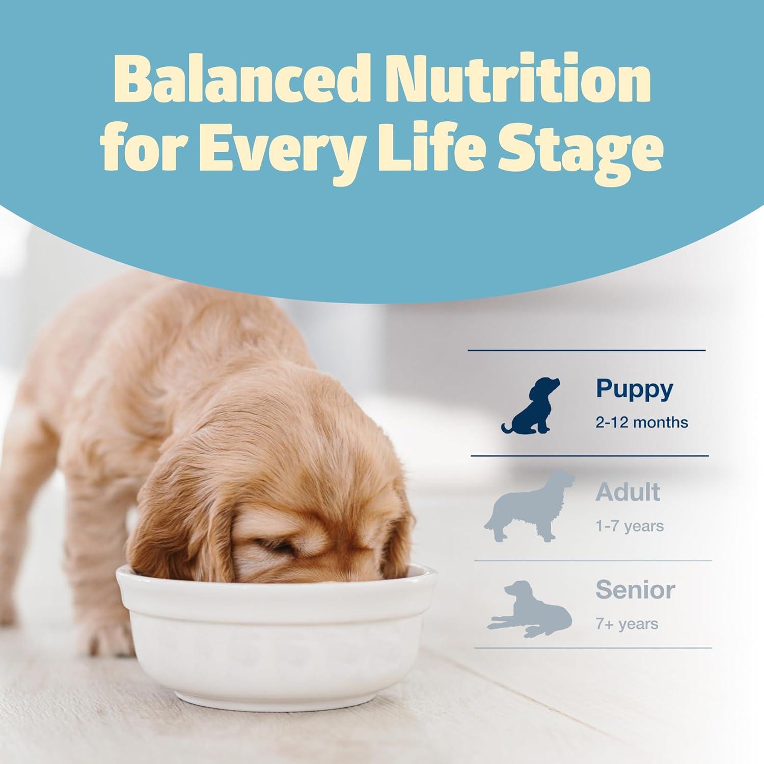 imageBlue Buffalo Freedom GrainFree Puppy Dry Dog Food with DHA Complete amp Balanced Nutrition for Puppies Made in the USA Chicken amp Potatoes 24lb BagChicken