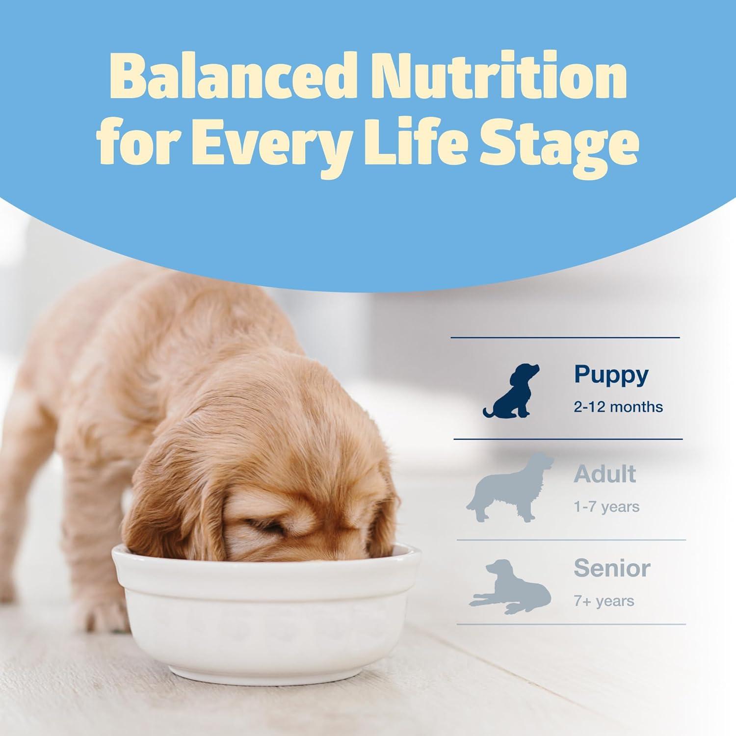 imageBlue Buffalo Freedom GrainFree Puppy Dry Dog Food with DHA Complete amp Balanced Nutrition for Puppies Made in the USA Chicken amp Potatoes 24lb BagChicken
