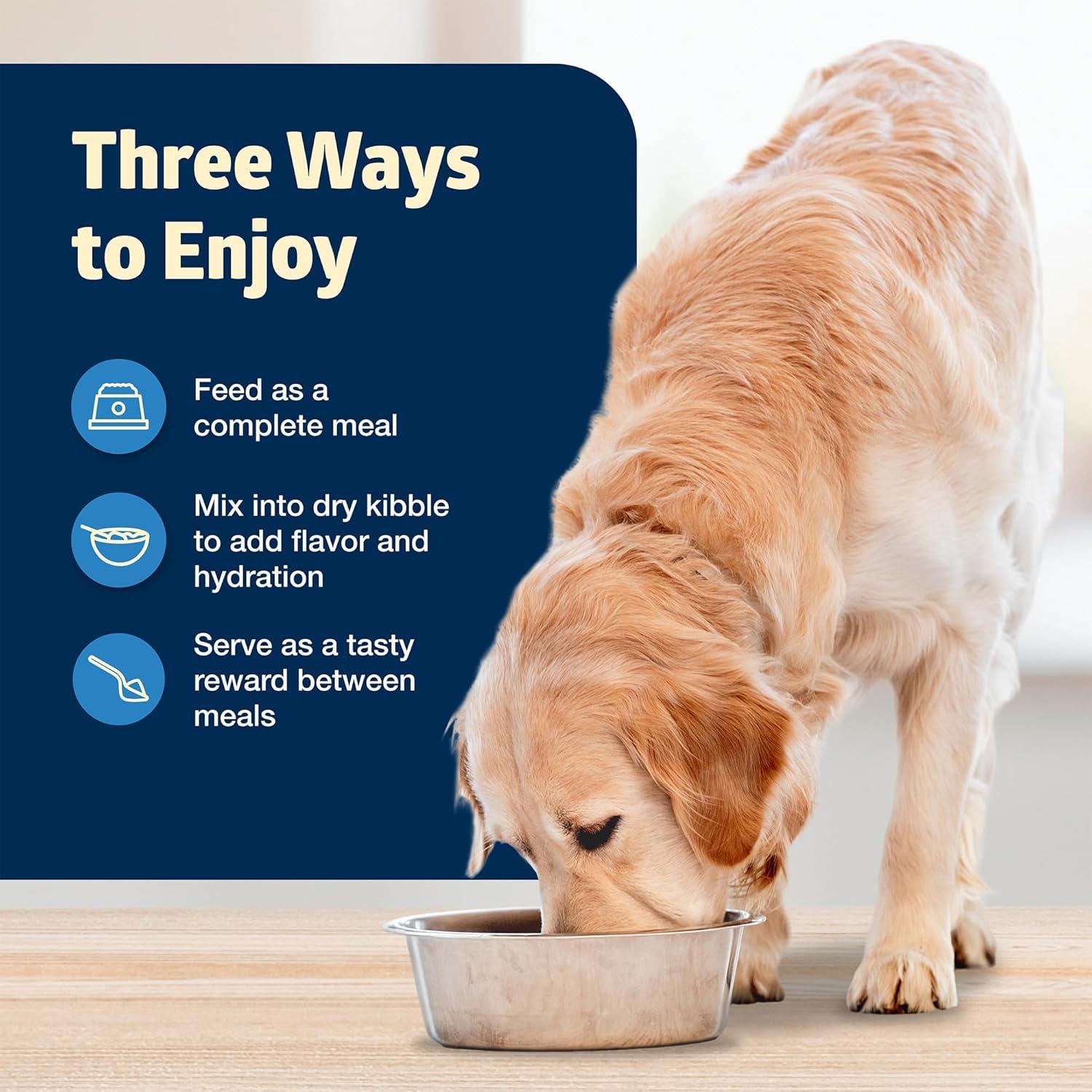 imageBlue Buffalo Freedom GrainFree Senior Wet Dog Food Free of Glutens amp Artificial Preservatives Made With Natural Ingredients Chicken Recipe 125oz Cans 12 Count