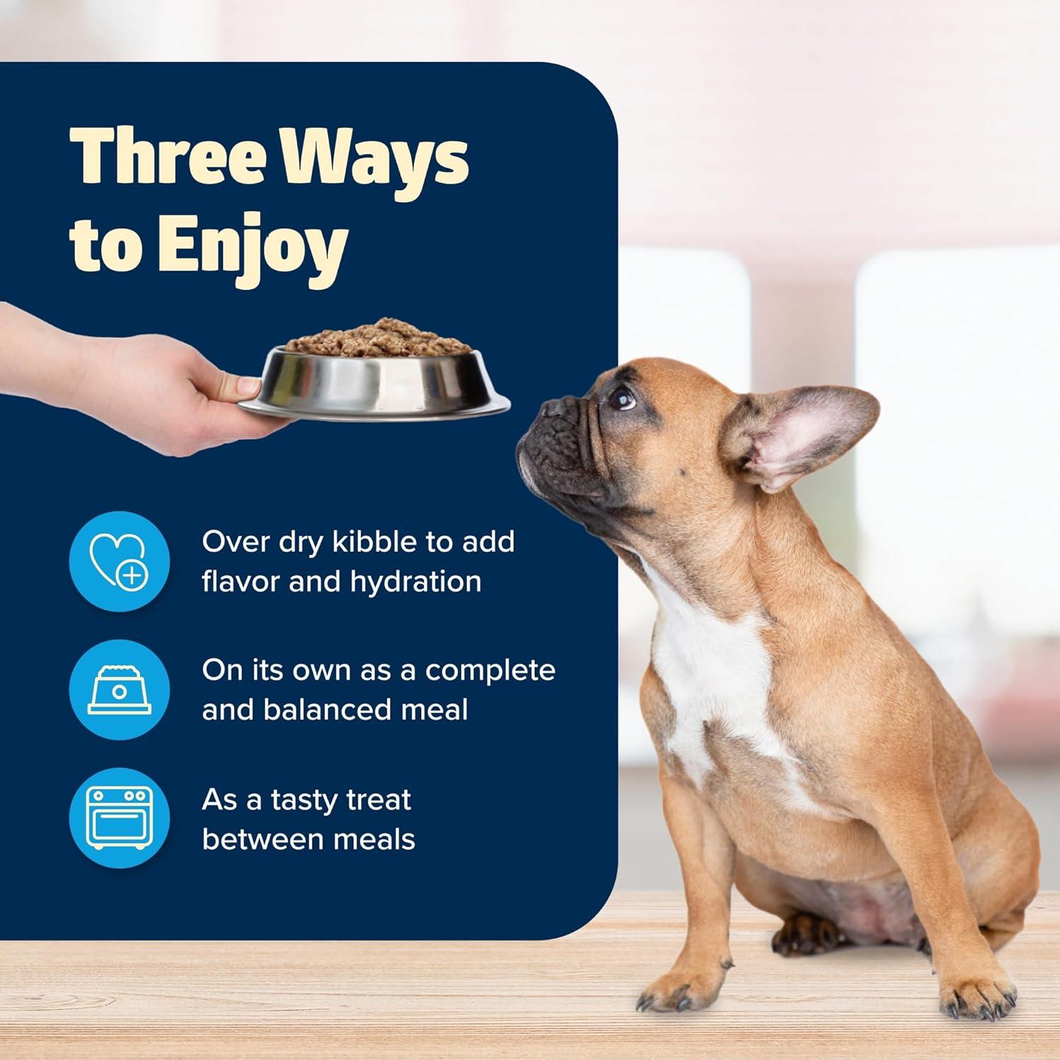 imageBlue Buffalo Freedom GrainFree Wet Dog Food Free of Glutens amp Artificial Preservatives Made with Natural Ingredients Chicken Recipe 125oz Cans 12 Count1 Count Pack of 12