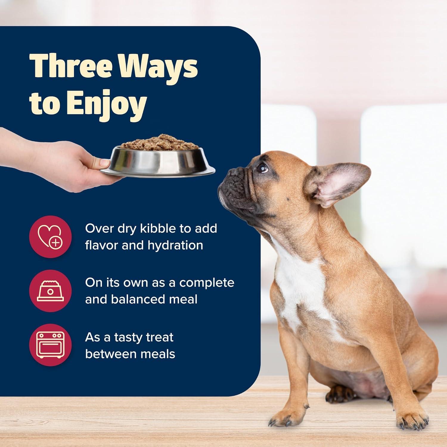 imageBlue Buffalo Freedom GrainFree Wet Dog Food Free of Glutens amp Artificial Preservatives Made with Natural Ingredients Chicken Recipe 125oz Cans 12 Count125 Ounce Pack of 12