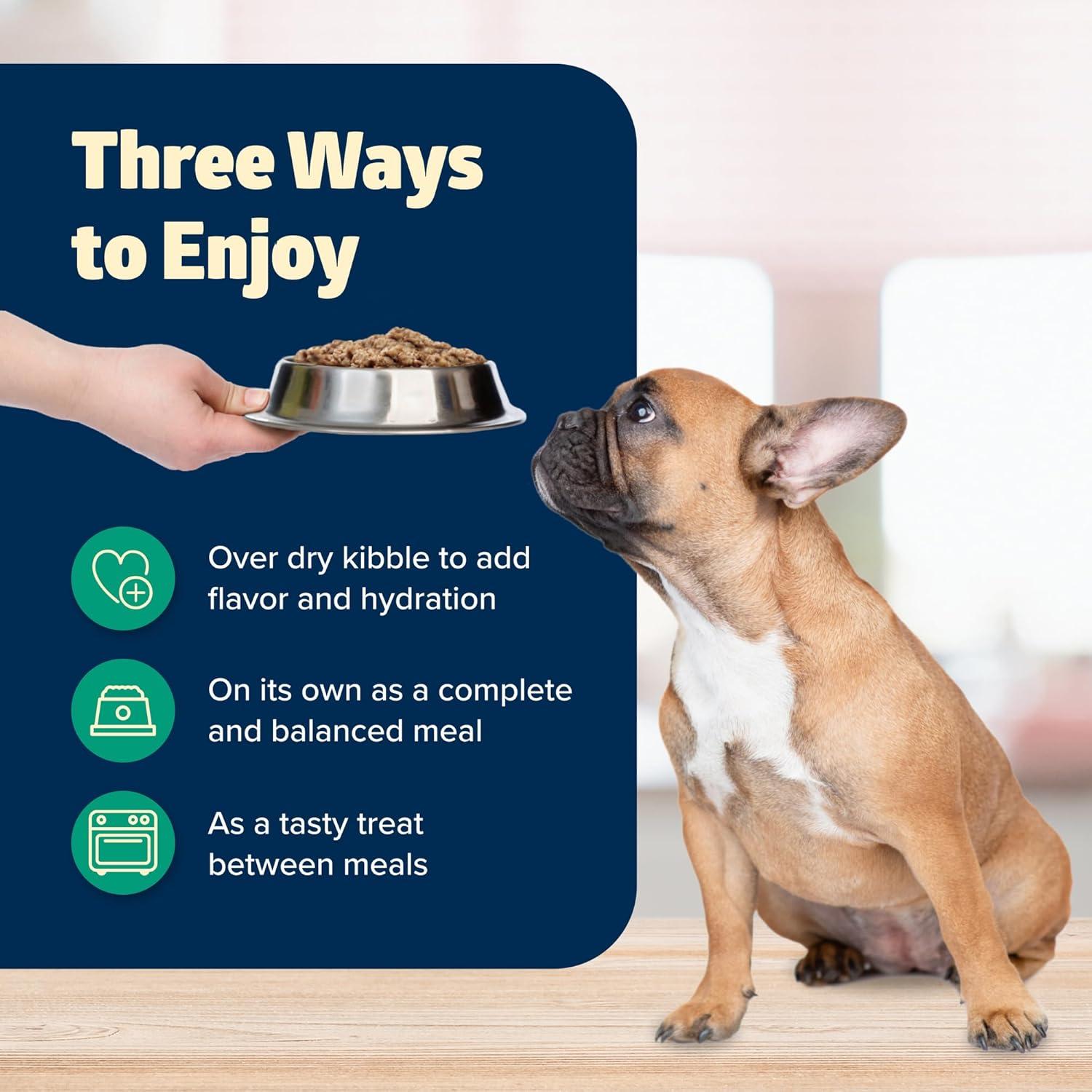 imageBlue Buffalo Freedom GrainFree Wet Dog Food Free of Glutens amp Artificial Preservatives Made with Natural Ingredients Lamb Recipe 125oz Cans 12 Count