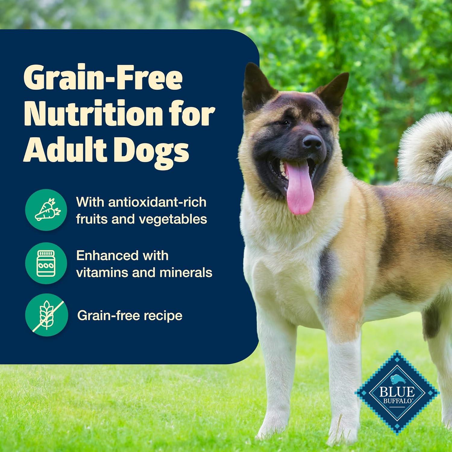 imageBlue Buffalo Freedom GrainFree Wet Dog Food Free of Glutens amp Artificial Preservatives Made with Natural Ingredients Lamb Recipe 125oz Cans 12 Count