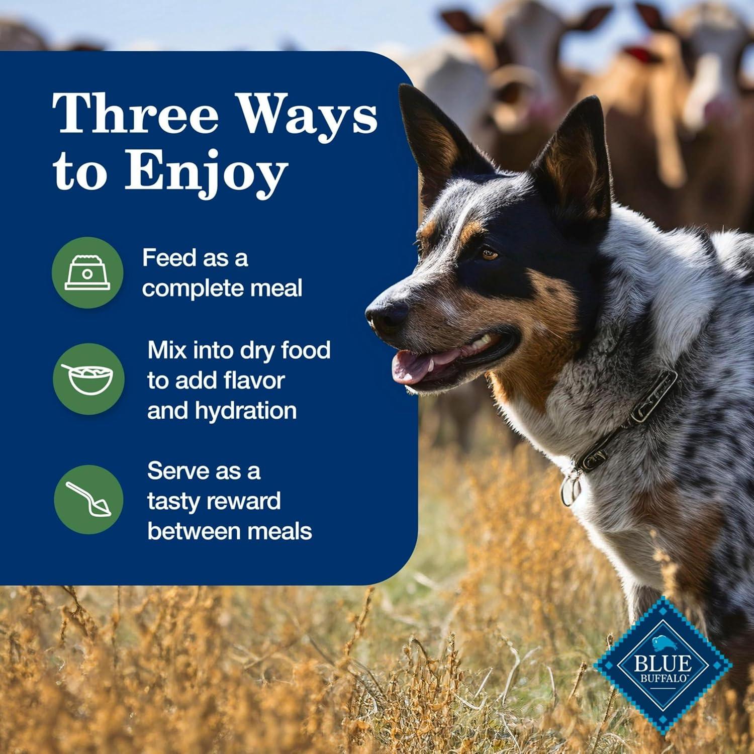 imageBlue Buffalo Homestyle Recipe Adult Wet Dog Food Made with Natural Ingredients Fish amp Sweet Potato Dinner with Garden Vegetables 125oz can Pack of 12Variety Pack Lamb Turkey