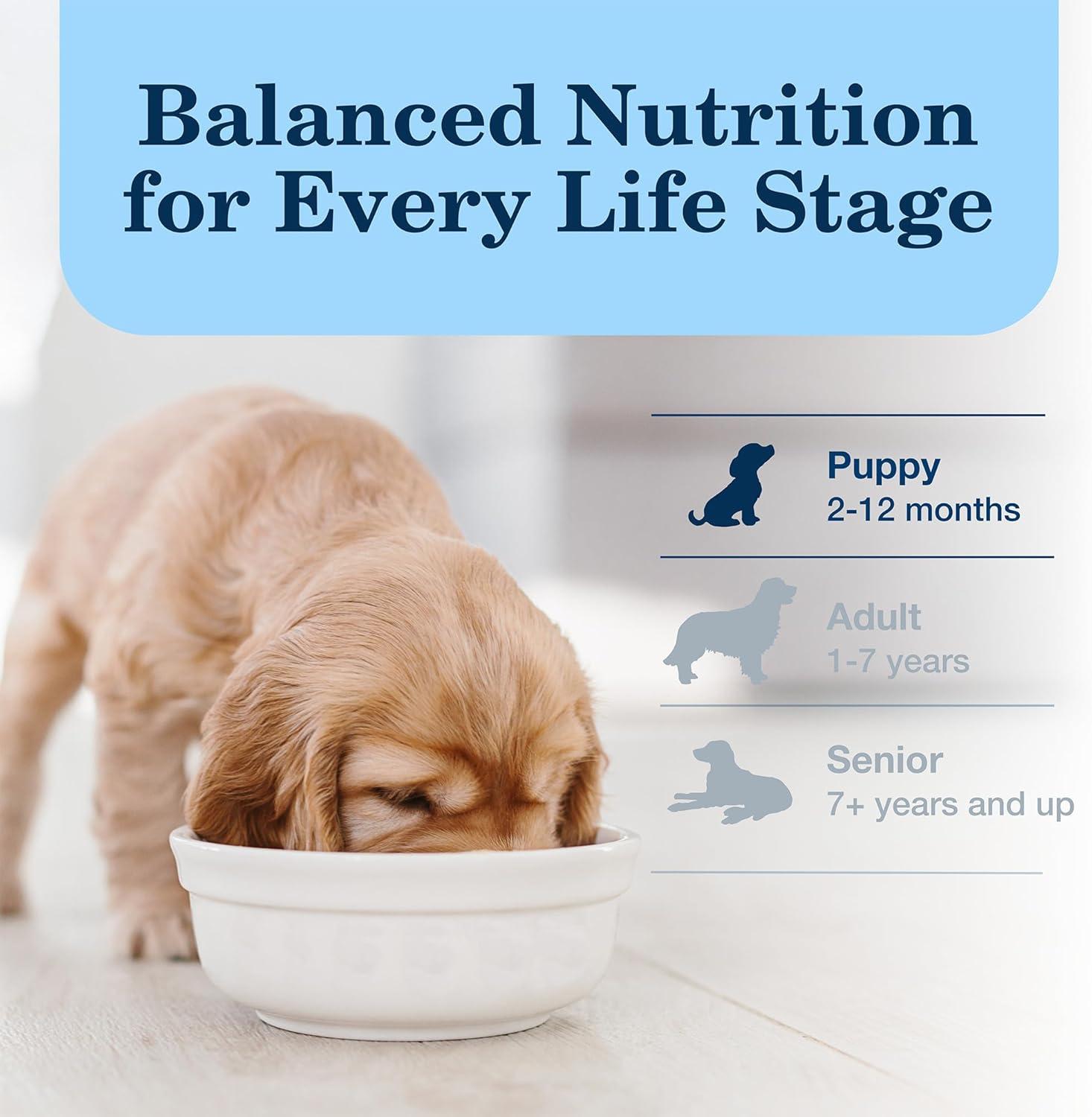 imageBlue Buffalo Homestyle Recipe Puppy Wet Dog Food Made with Natural Ingredients Chicken Dinner with Garden Vegetables amp Brown Rice 125oz Cans 12 CountWet Dog Food