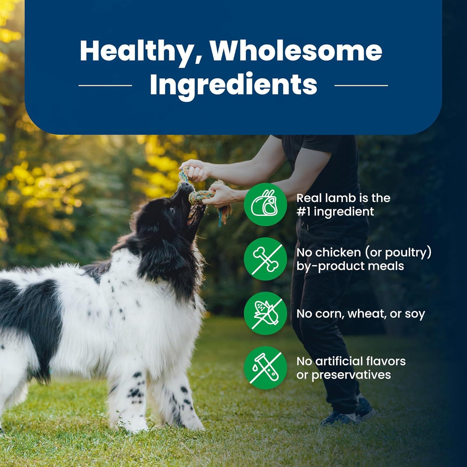 imageBlue Buffalo Life Protection Formula Adult Dry Dog Food Helps Build and Maintain Strong Muscles Made with Natural Ingredients Chicken amp Brown Rice Recipe 5lb BagLamb Brown Rice