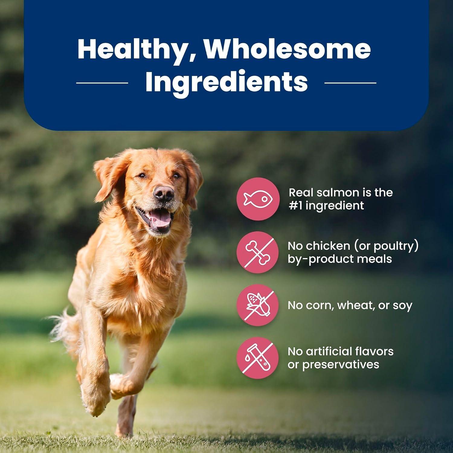 imageBlue Buffalo Life Protection Formula Adult Dry Dog Food Helps Build and Maintain Strong Muscles Made with Natural Ingredients Chicken amp Brown Rice Recipe 5lb BagSalmon ChickenFree