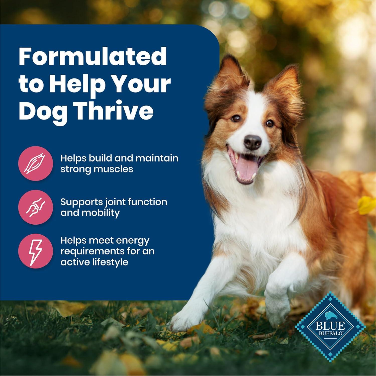 imageBlue Buffalo Life Protection Formula Adult Dry Dog Food Helps Build and Maintain Strong Muscles Made with Natural Ingredients Chicken amp Brown Rice Recipe 5lb BagSalmon ChickenFree